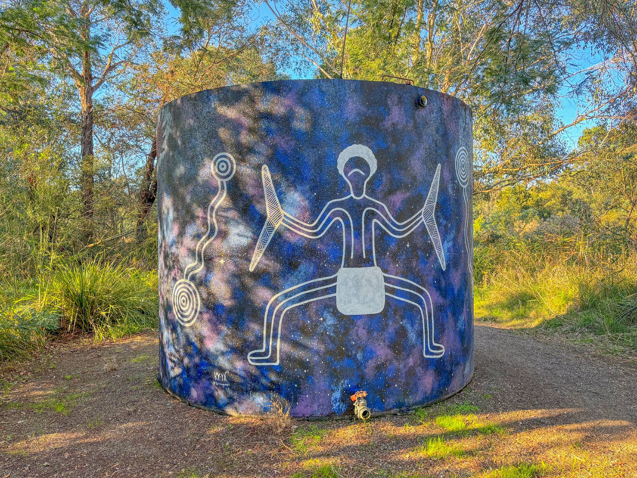 Ky-ya Nicholson-Ward&mdash;Spadonis Reserve Water Tank