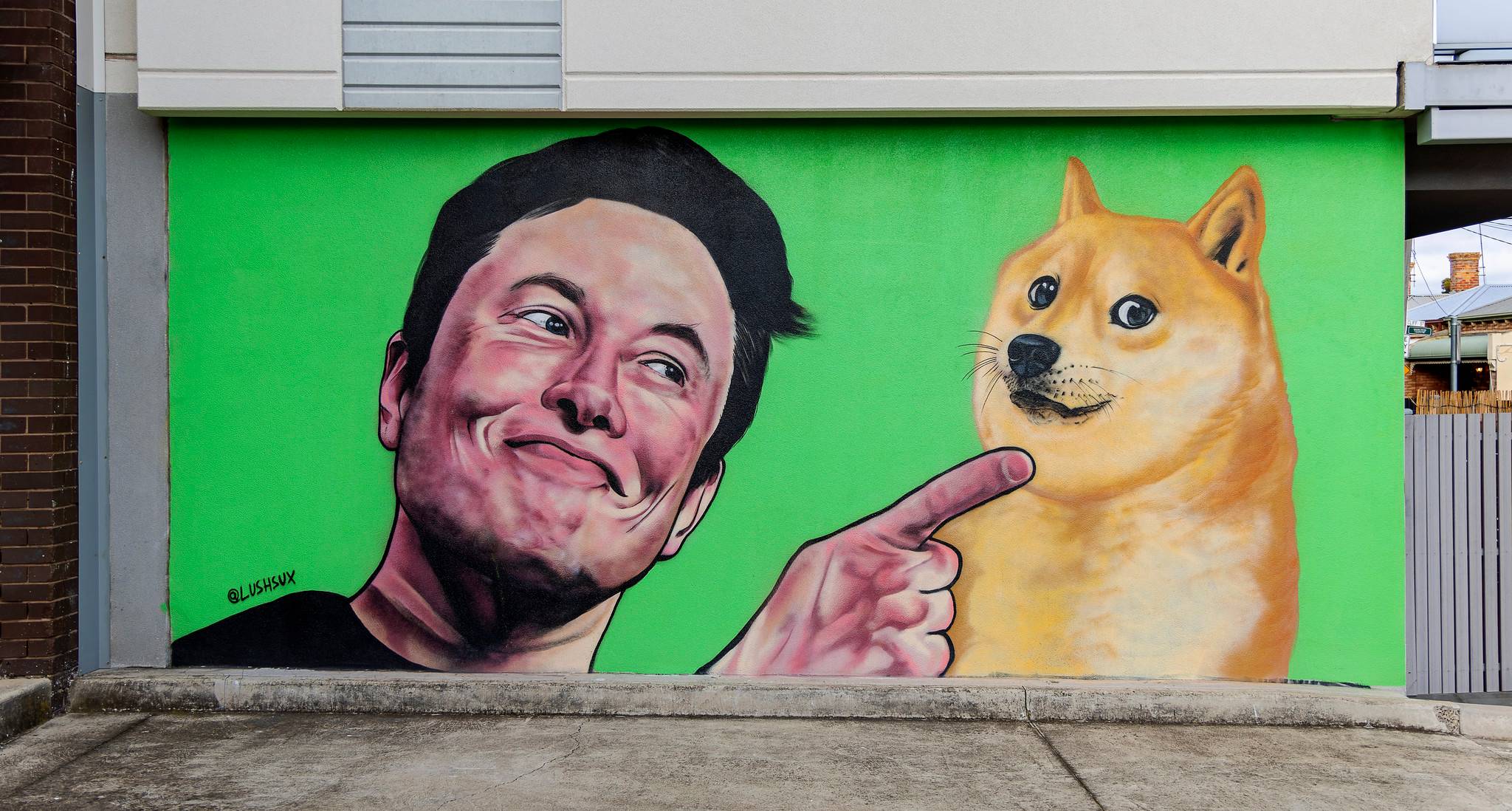 Lushsux&mdash;Elon Musk and Baby Doge