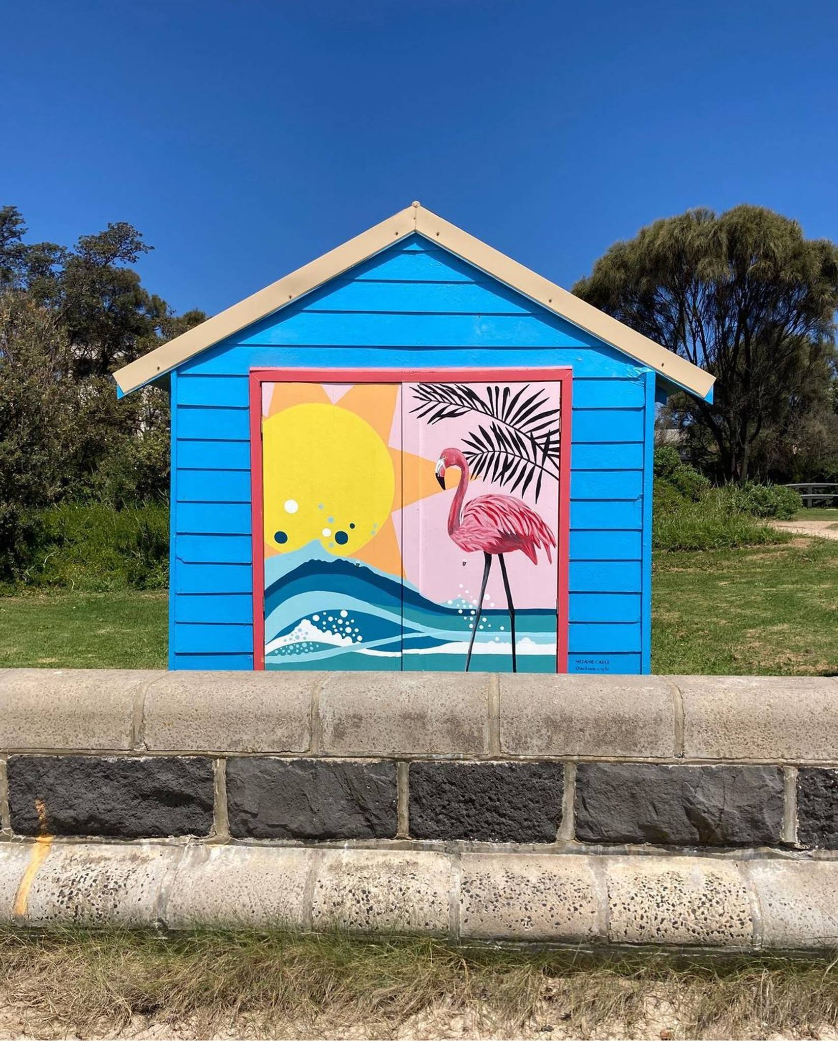 Melanie Caple&mdash;Dromana Flamingo