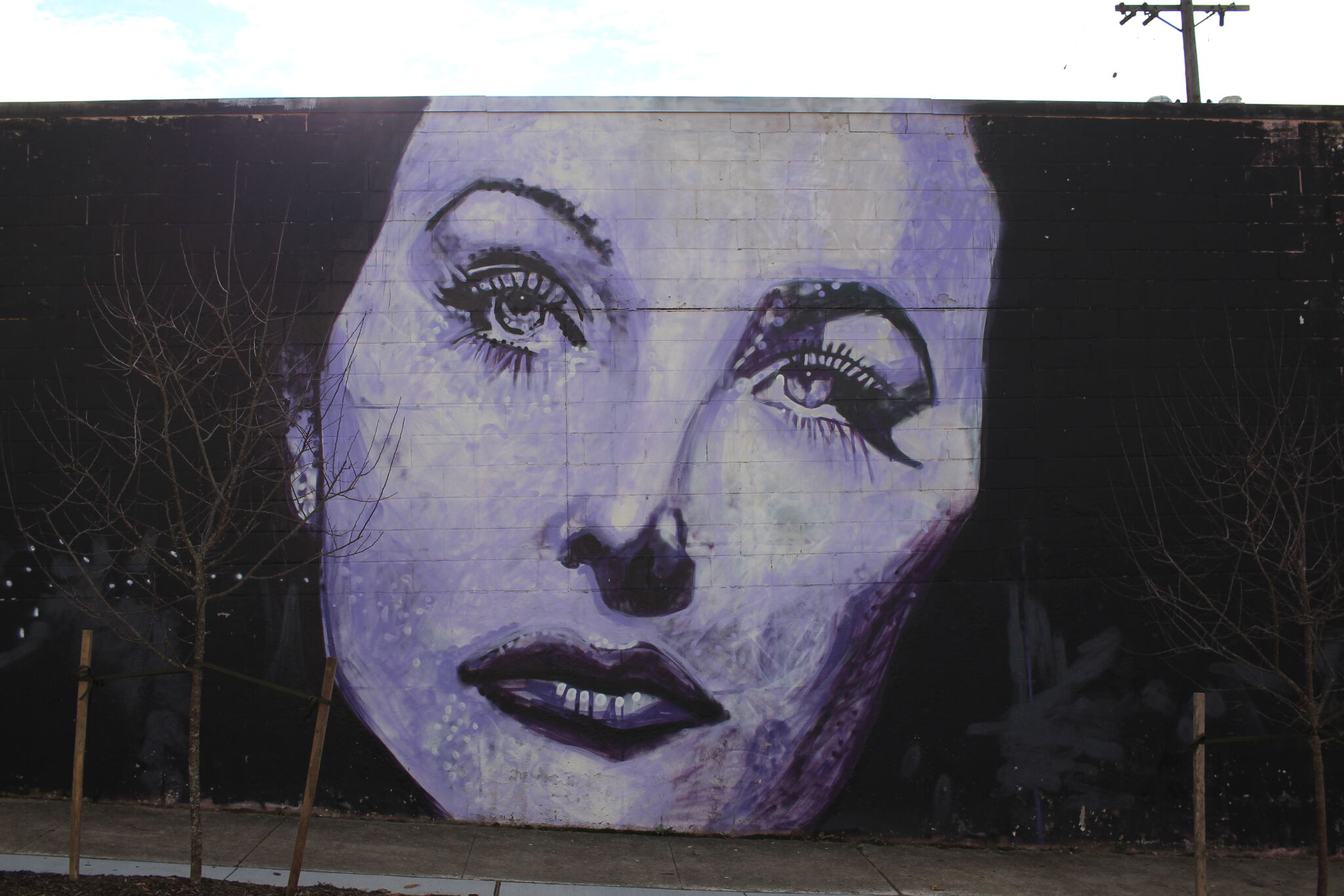 Jeremy Raymer&mdash;Hedy Lamarr Mural