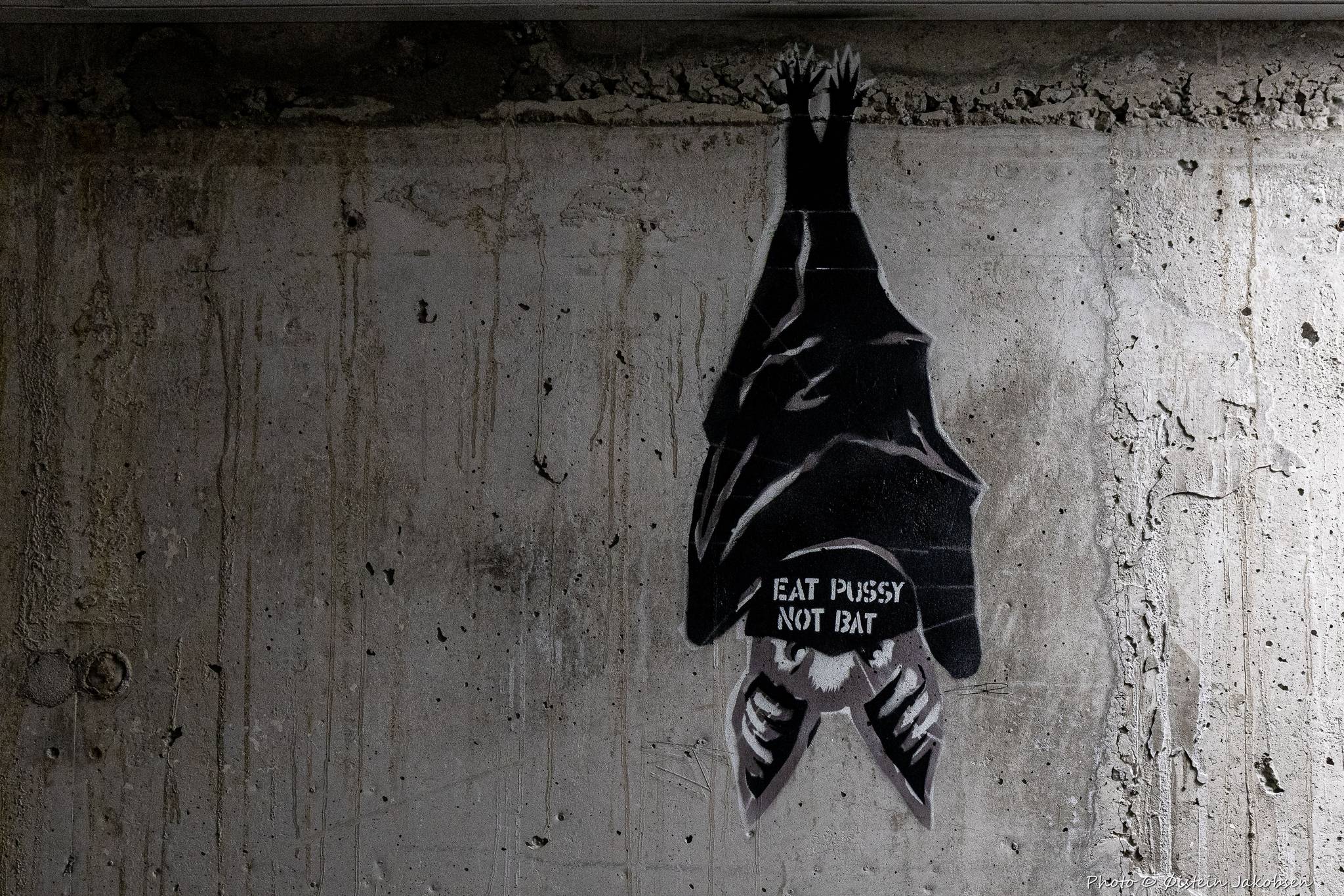 Eat Pussy not Bats by SR - Street Art Cities