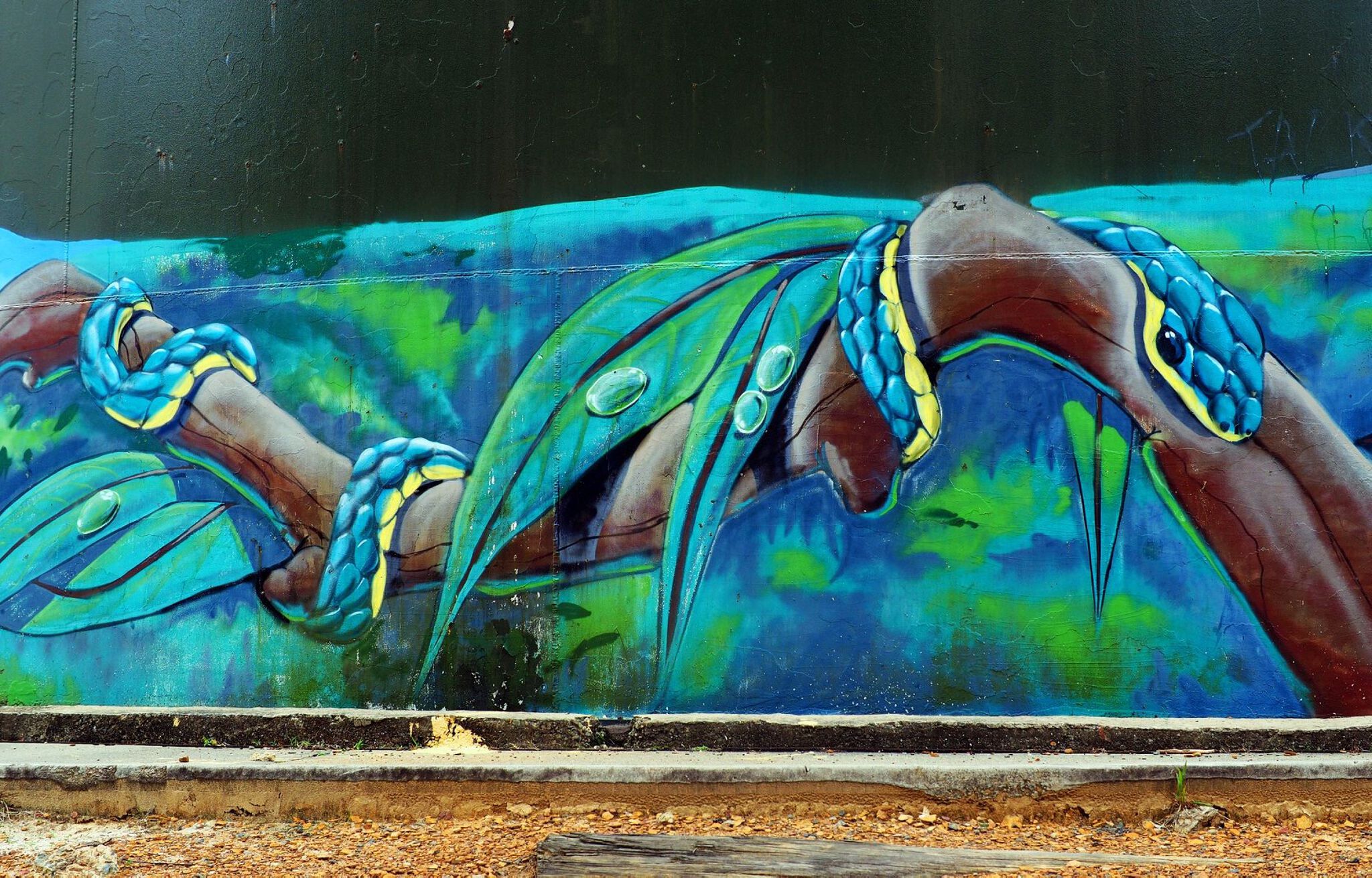 Australian Silo Art Trail, Scott Nagy, Krimsone&mdash;Mount Riverview Water Tank Art