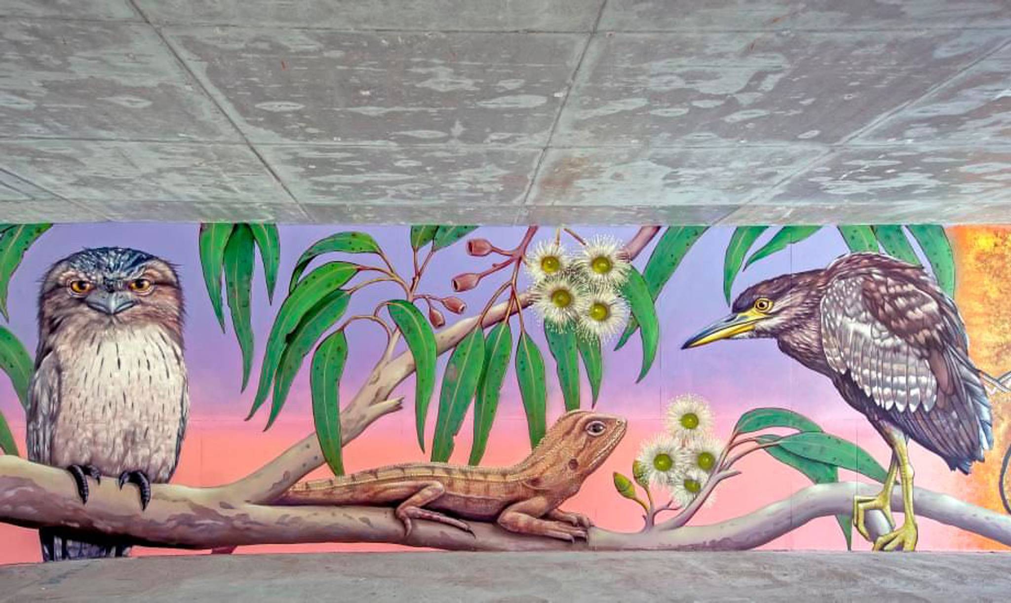 Hayden Dewar, Ashleigh Pugh&mdash;The Mordialloc Freeway Underpass Mural Project 