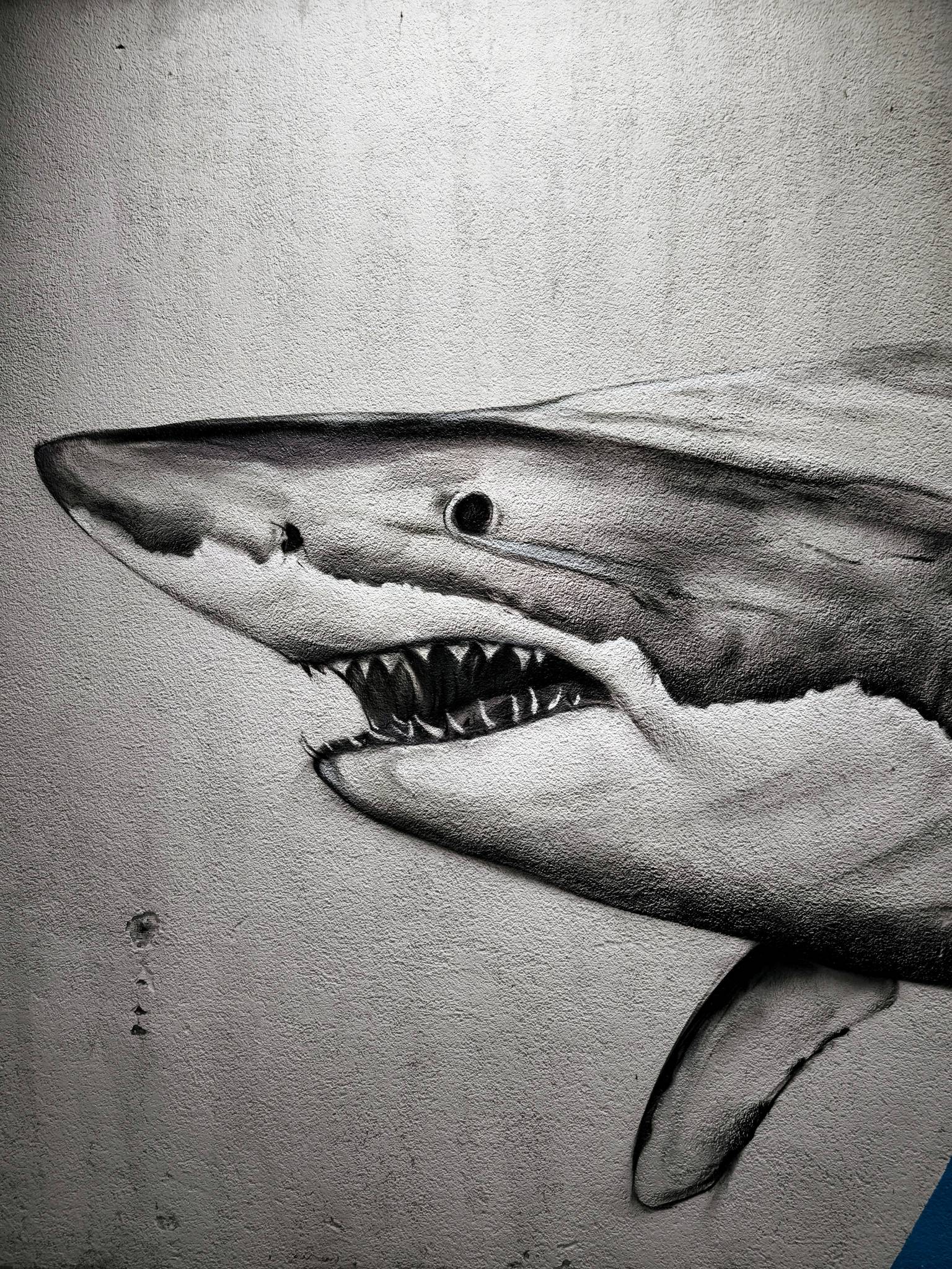 ennicolor&mdash;Shark mural