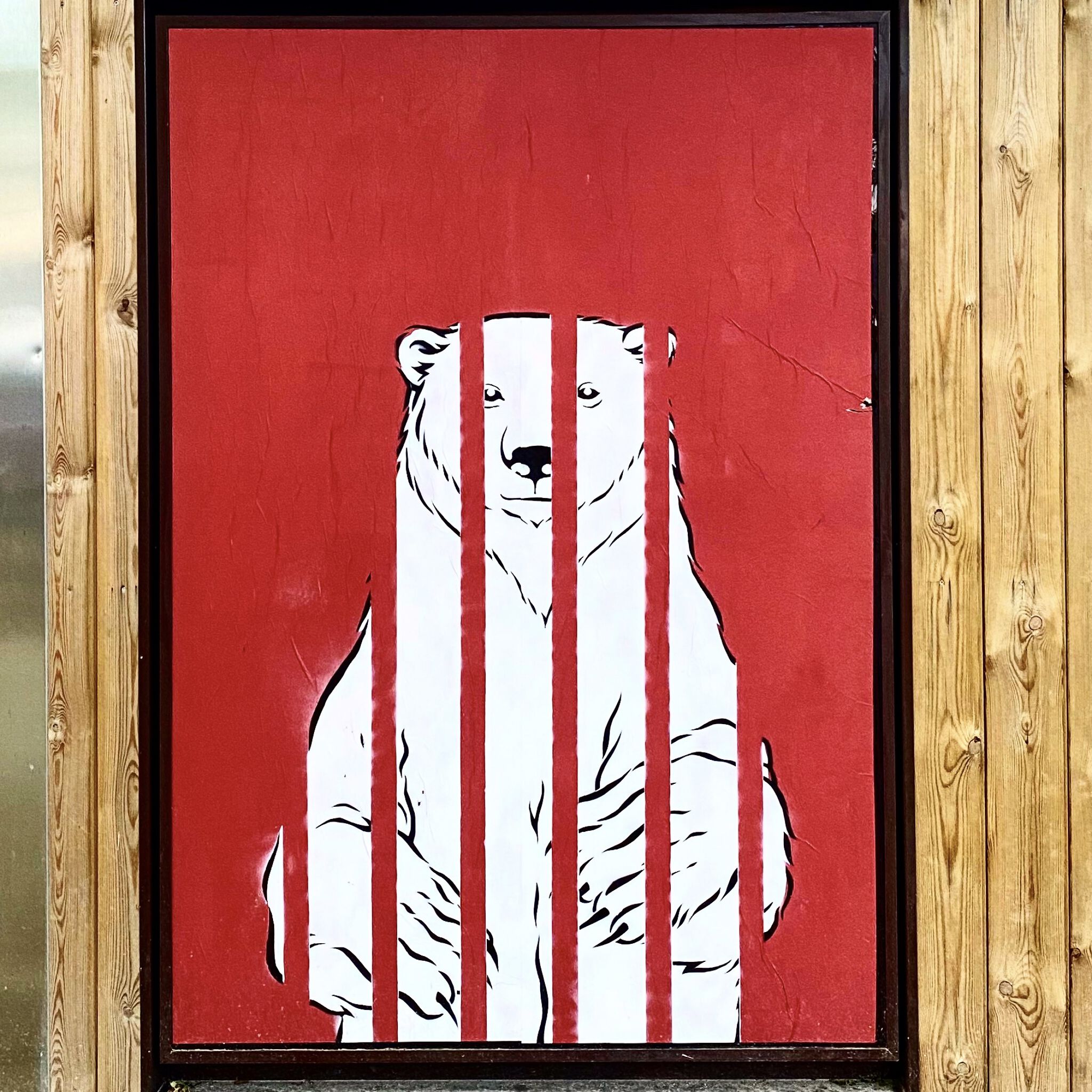 El Primo de Banksy&mdash;SOS Polar