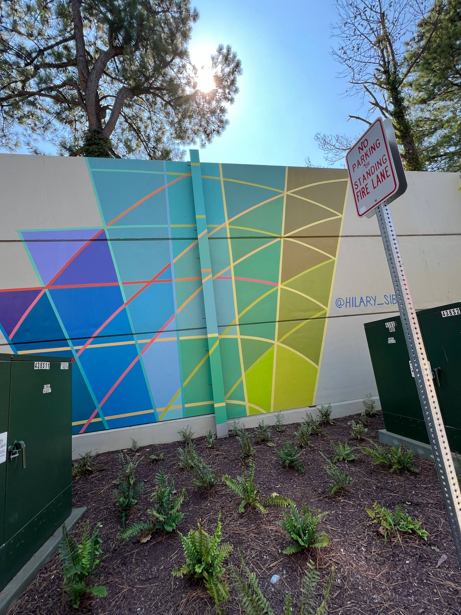 Hilary Siber&mdash;Faraday Park Mural