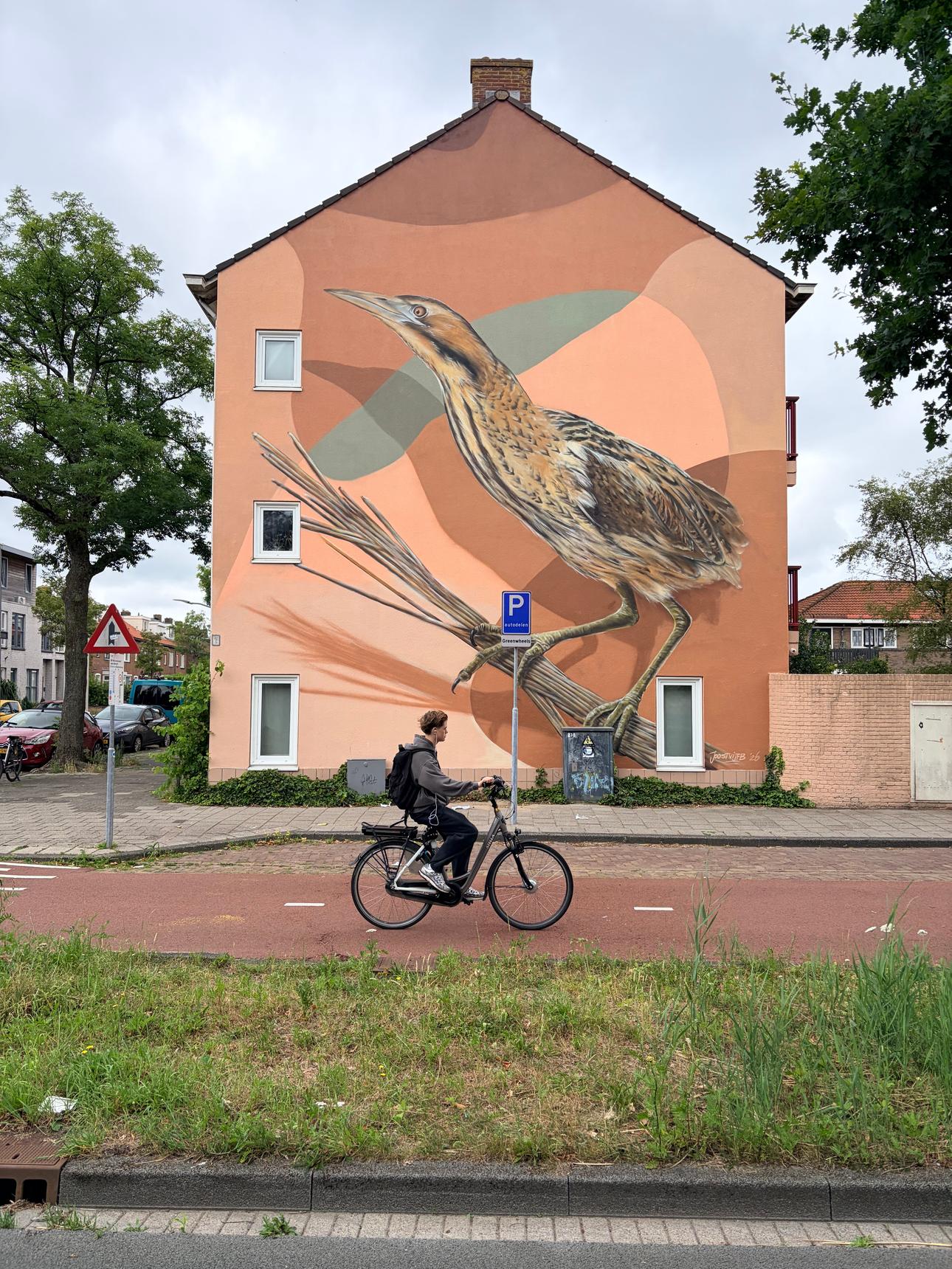 Joostvijfb—De Roerdomp (the Bittern)