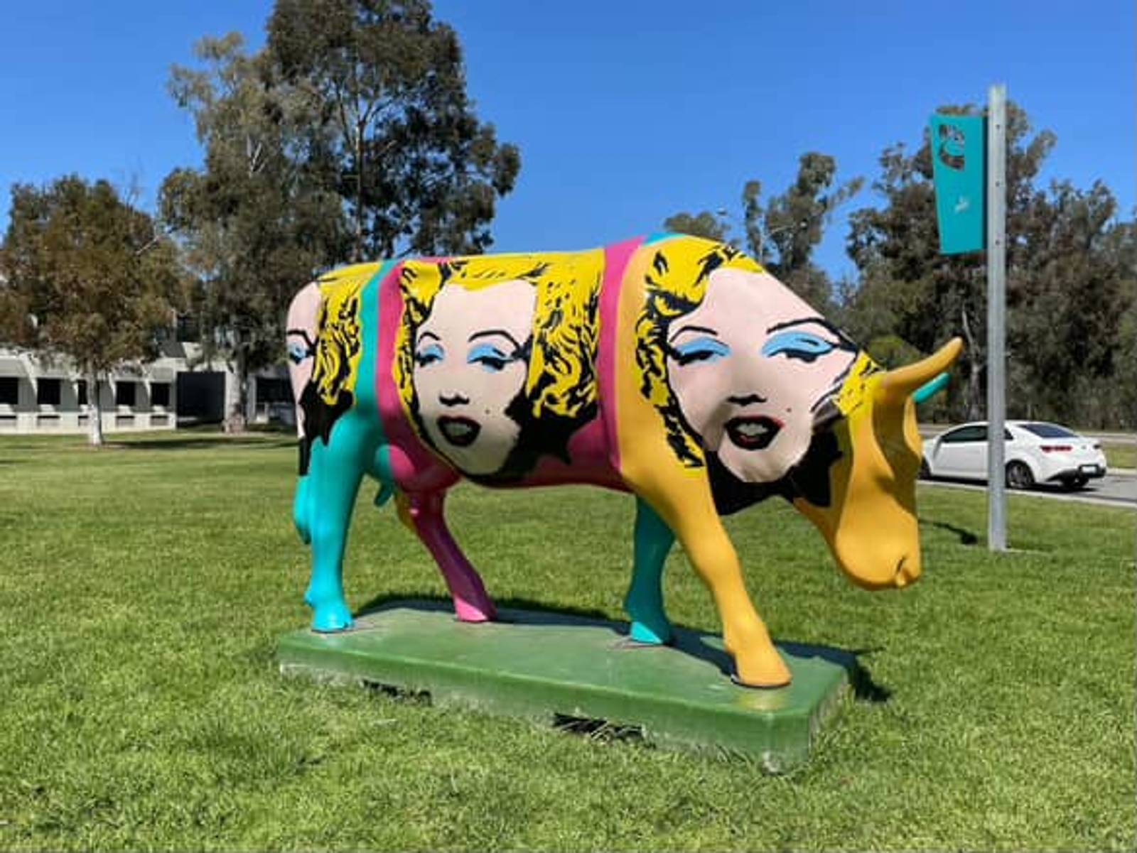 Various artists - Shepparton—Moooving Art