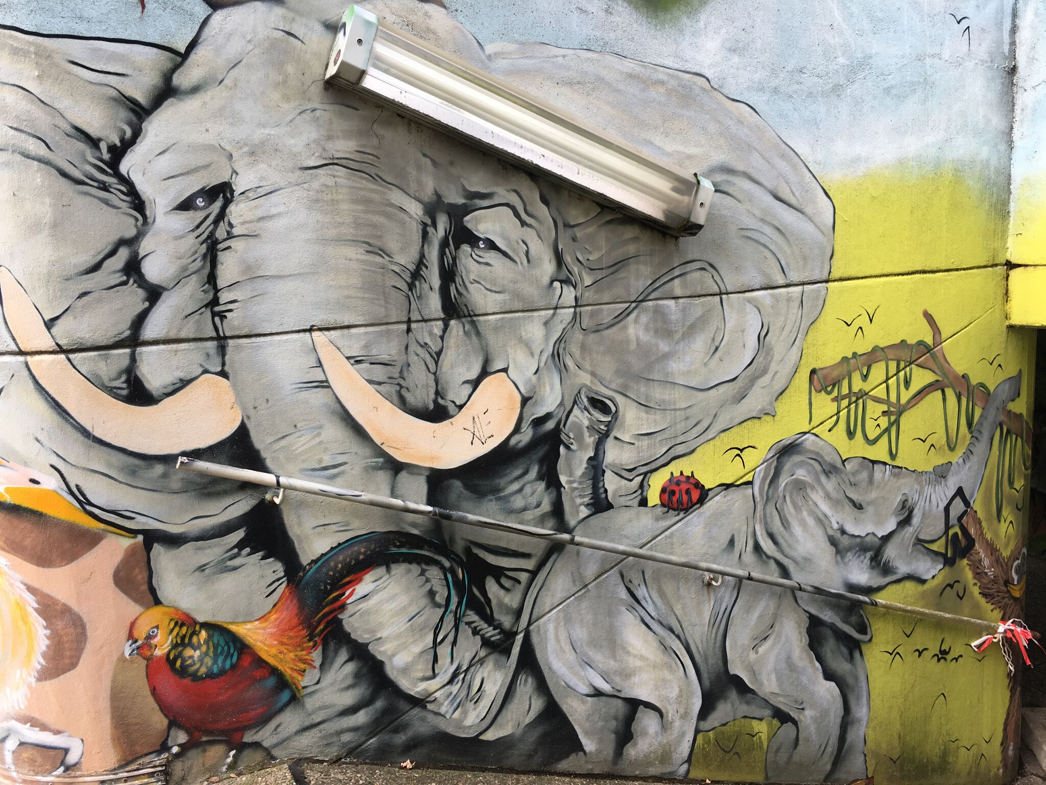 Artwork by Moohee - Street Art Cities