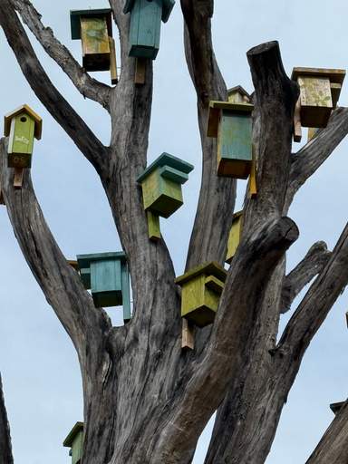 Feed item