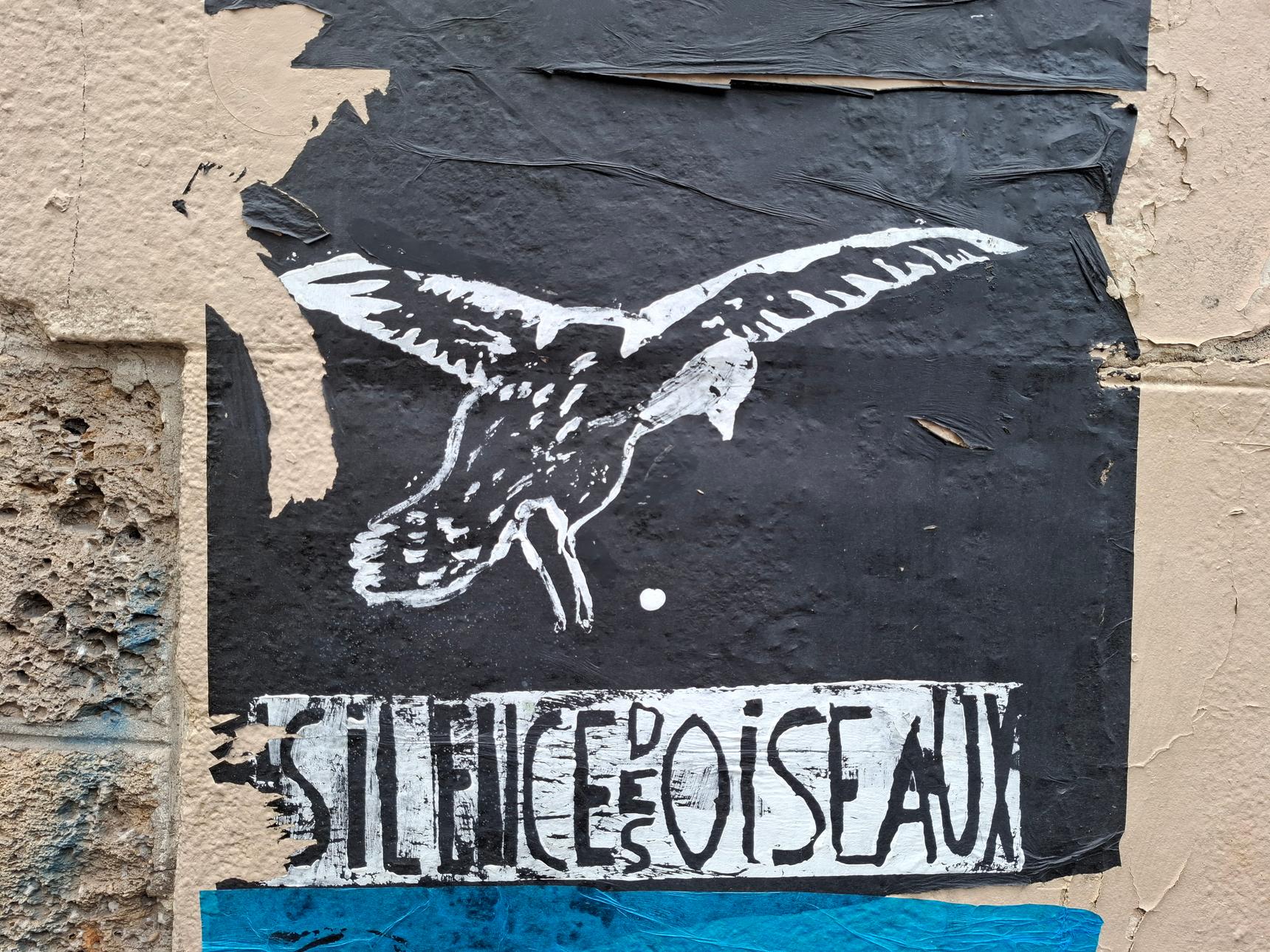 Patrick Pinon—Le Silence Des Oiseaux