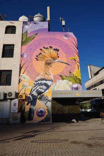 hoopoe