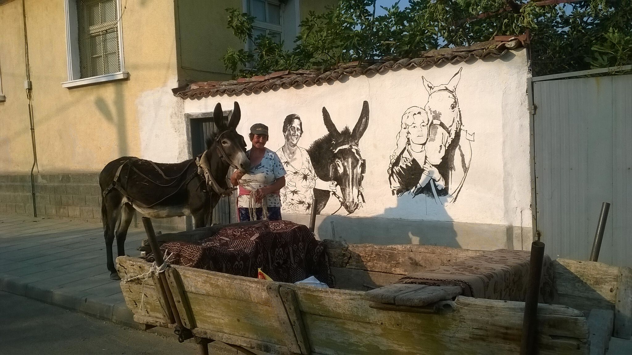 Ventzi Piriankov, Katarzyna Piriankov&mdash;Stefana with her Donkey, Brigitte Bardot with a Horse