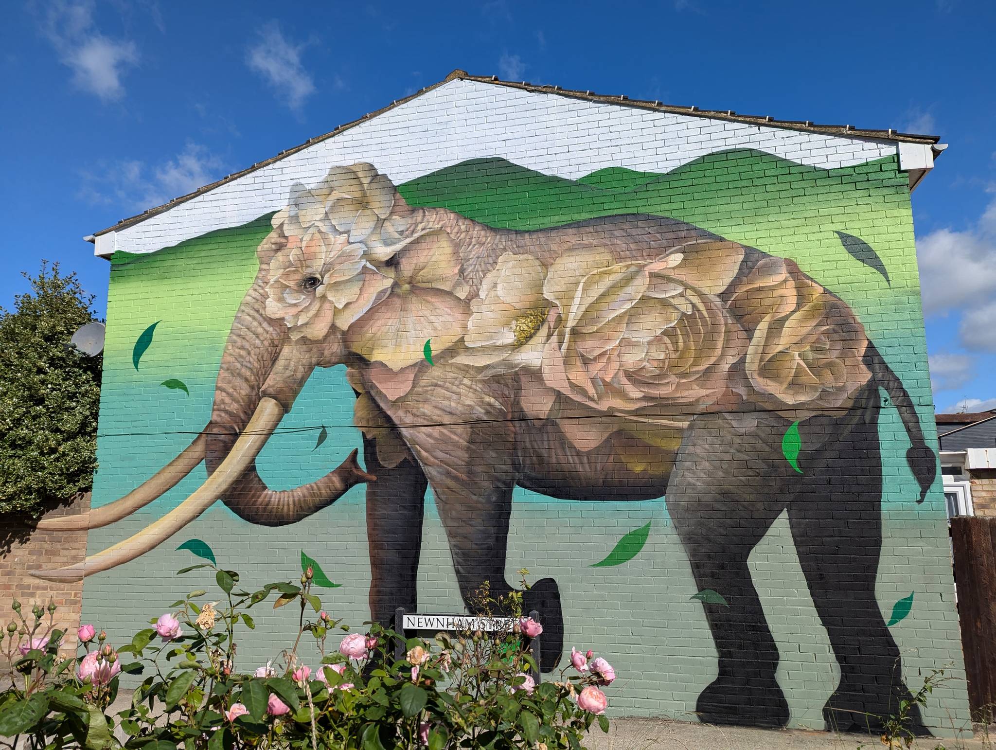 Curtis Hylton&mdash;Chatham Elephant