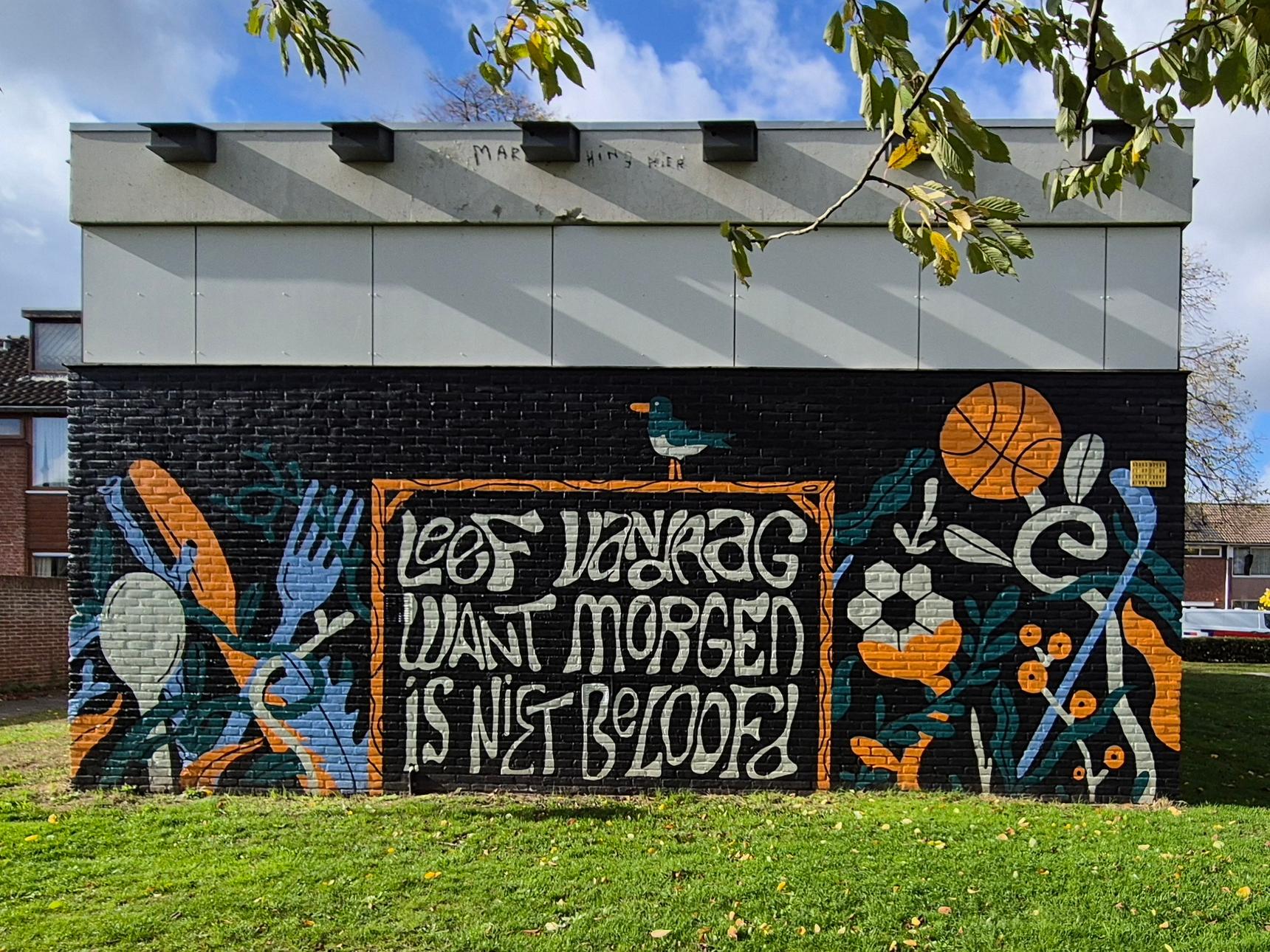 Daan van Bommel—undefined