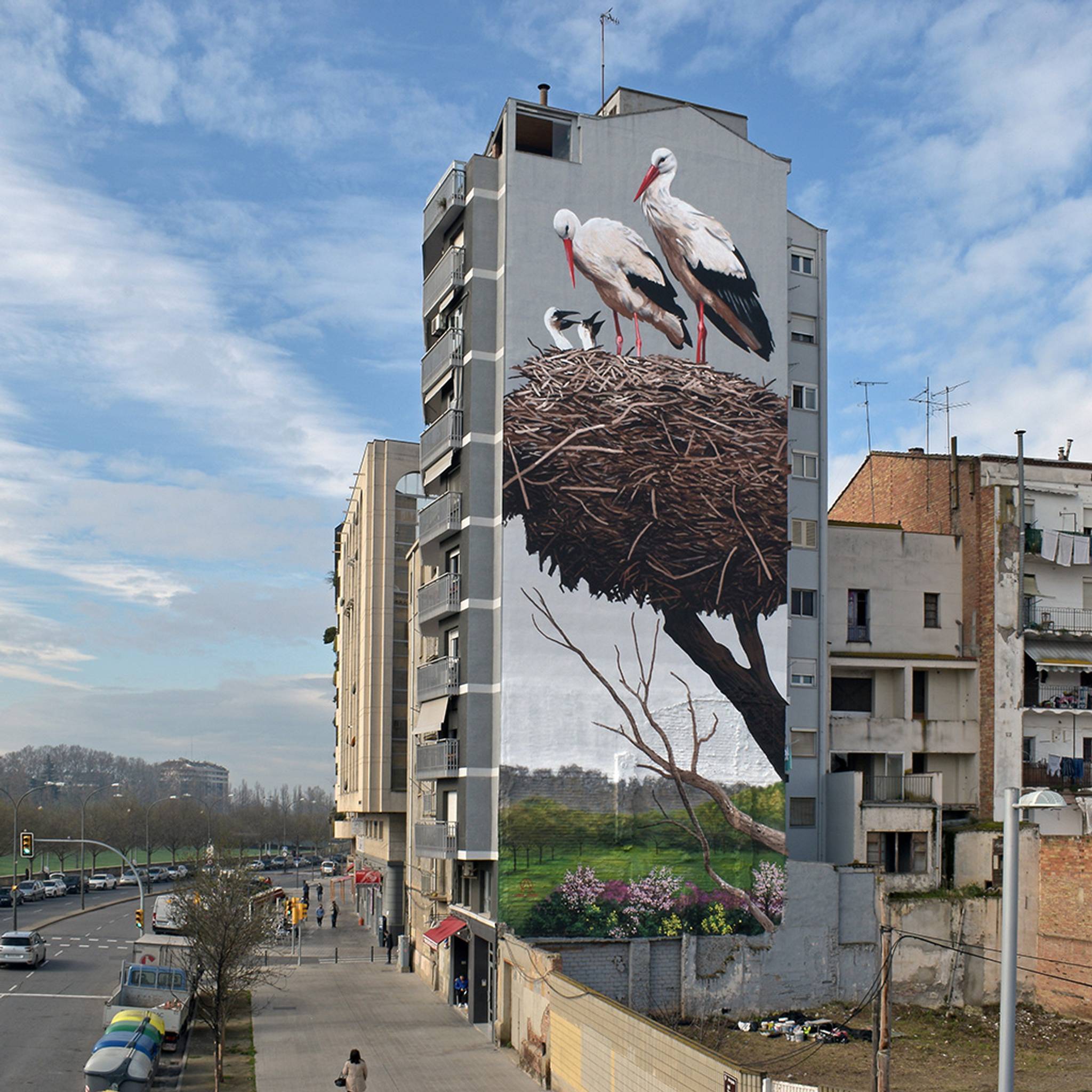 Oriol Arumi&mdash;Cigonyes /Storks