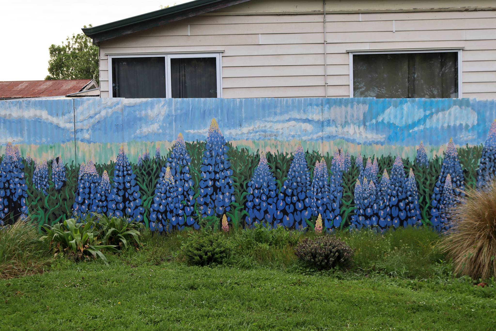 Sam Billings&mdash;Lupins