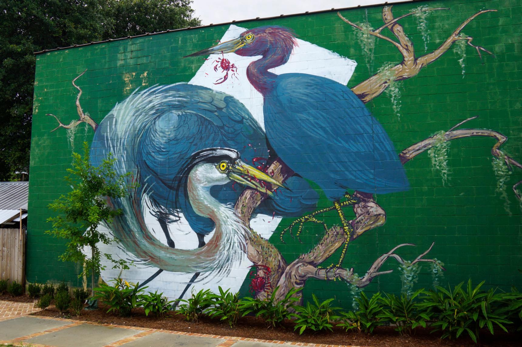 Hitnes—"GREAT BLUE HERON AND LITTLE BLUE HERON"