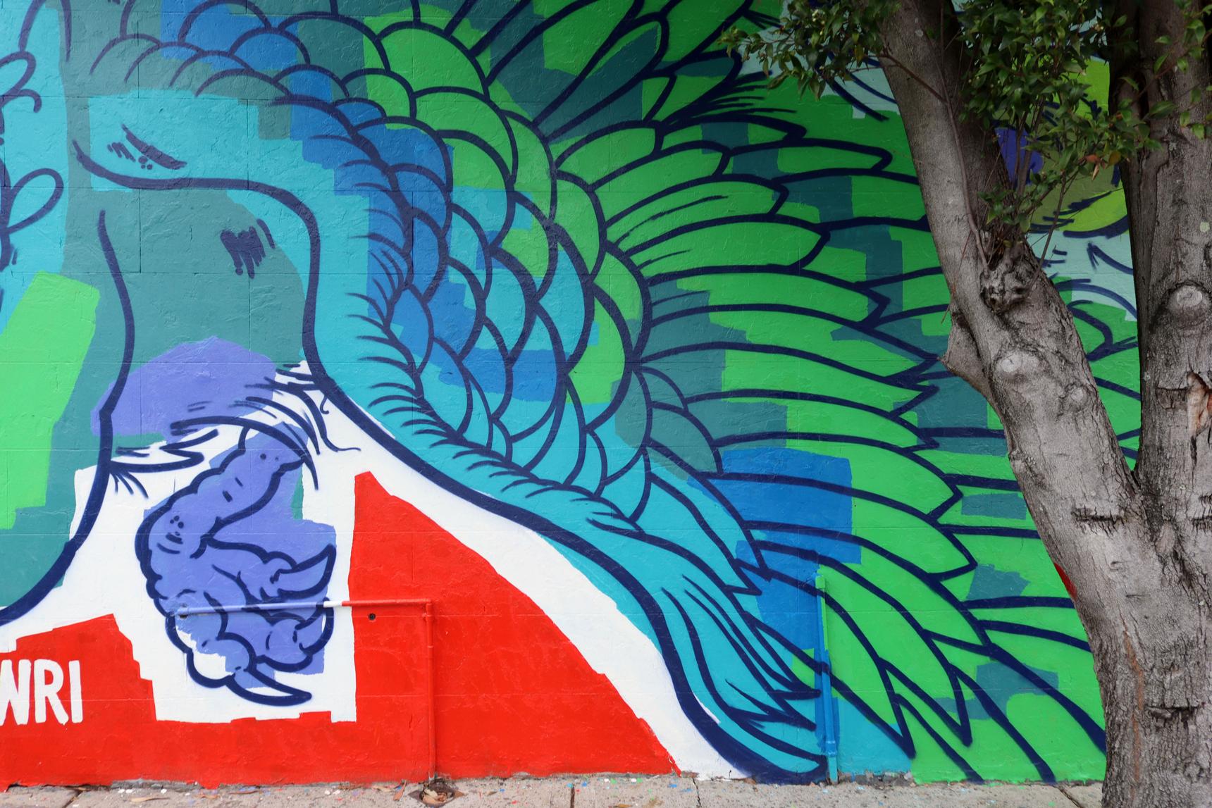 JESWRI—Fly, Peacock, Fly