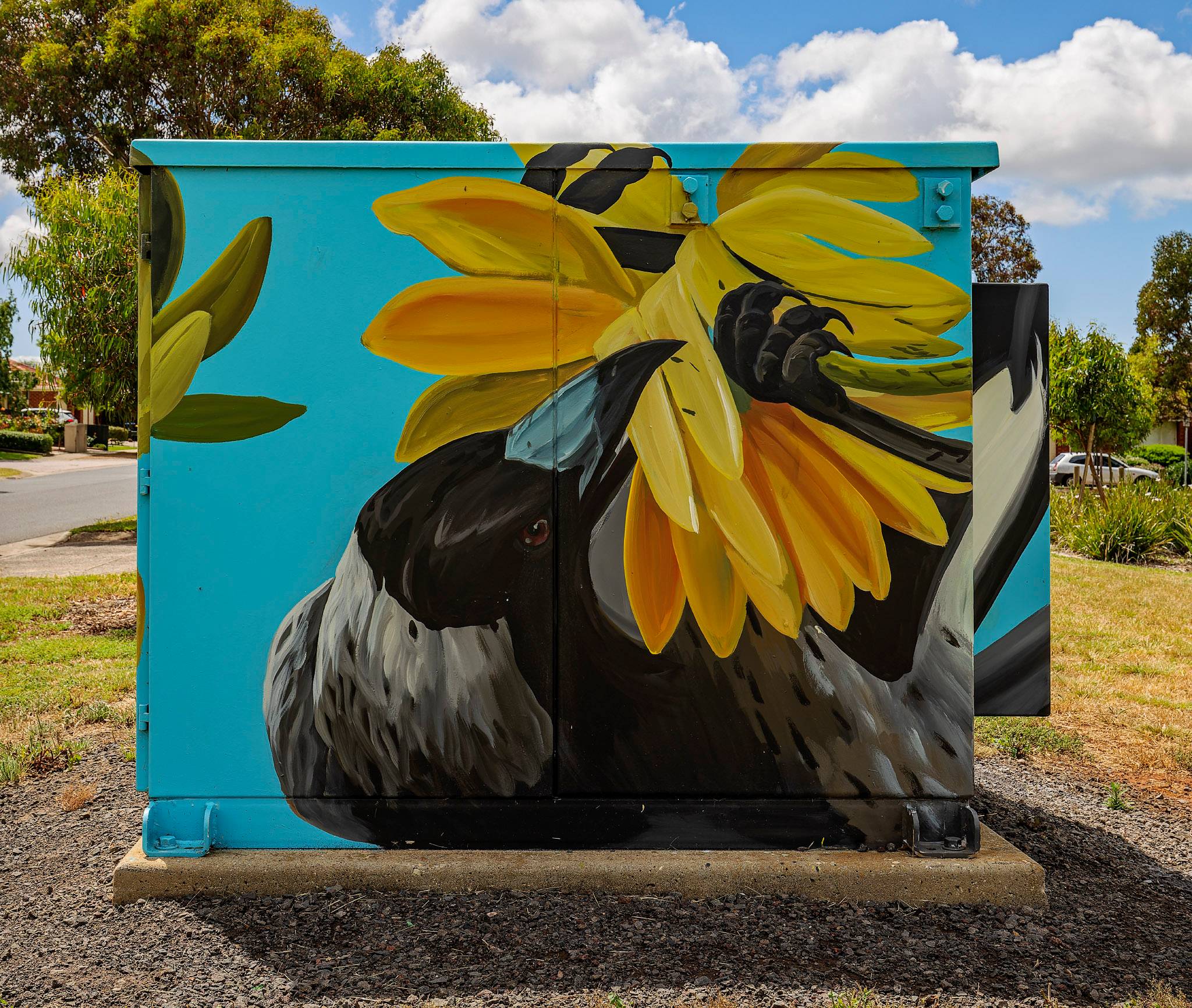 David Lee Pereira&mdash;Australian Magpie