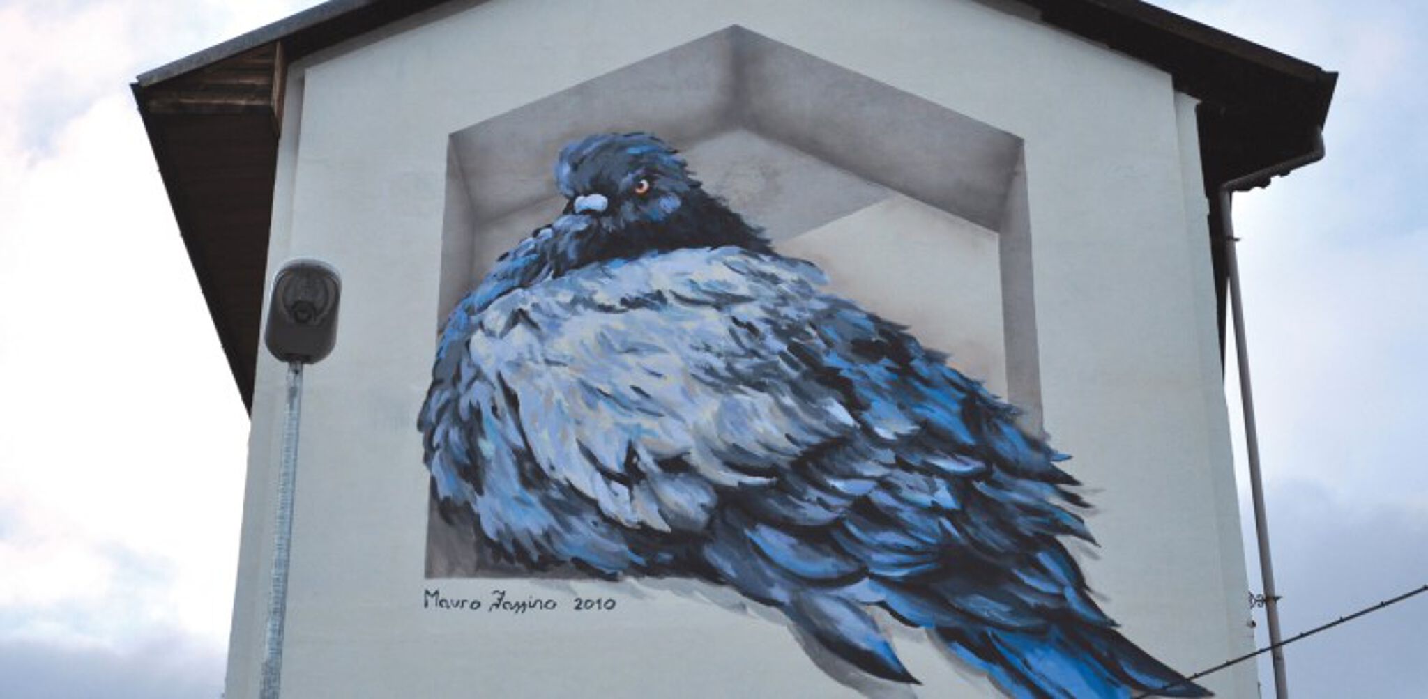 Mauro Fassino&mdash;The pigeon