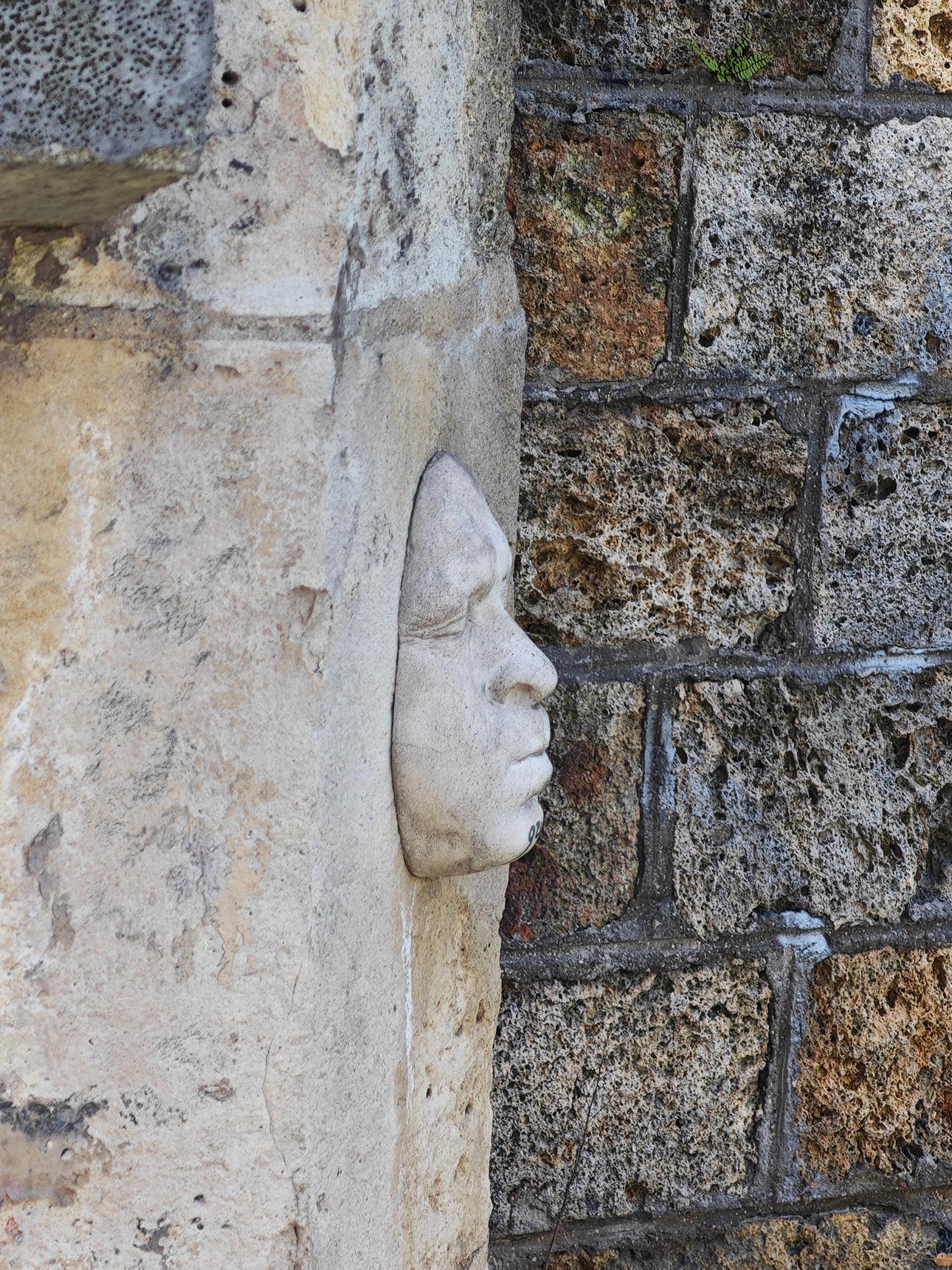 Gregos—Face Mood