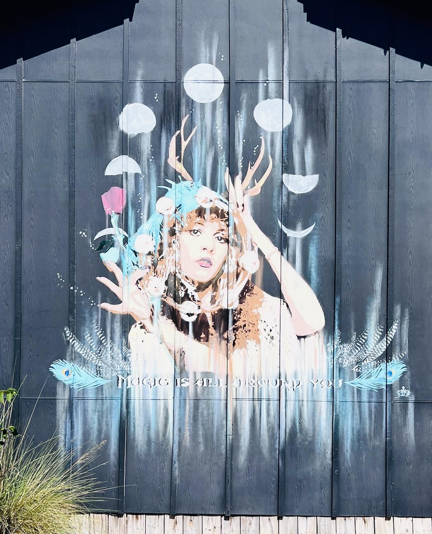Niz—Magic Is All Around You