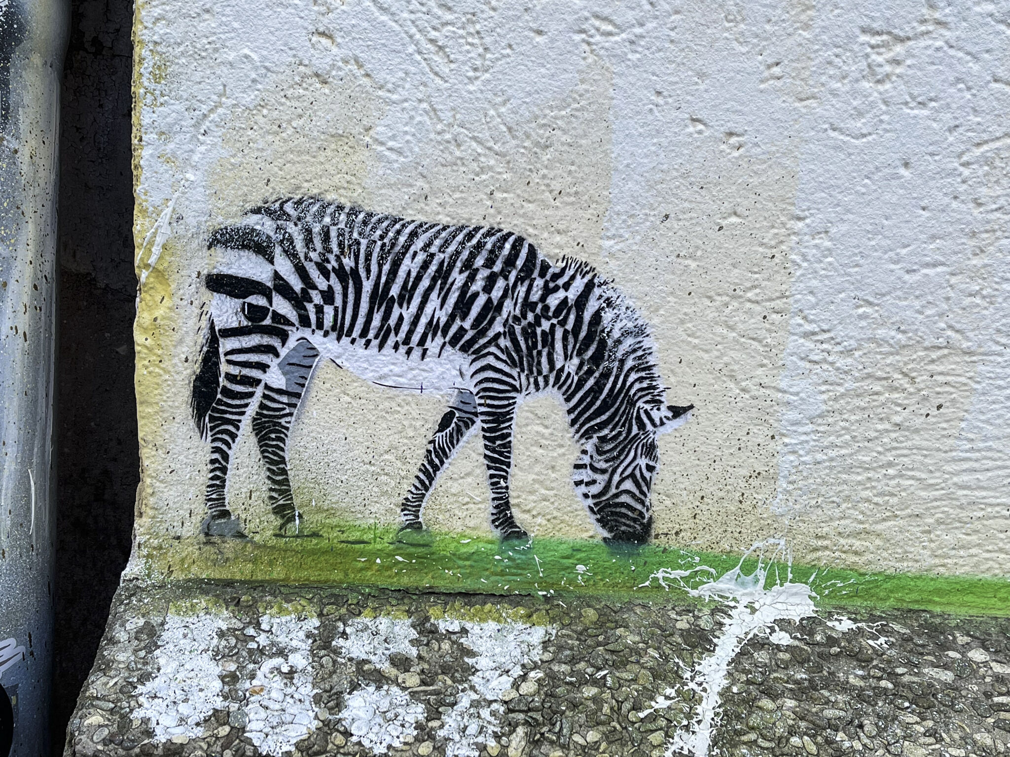 Unknown - Hannover&mdash;Zappelige Zebras