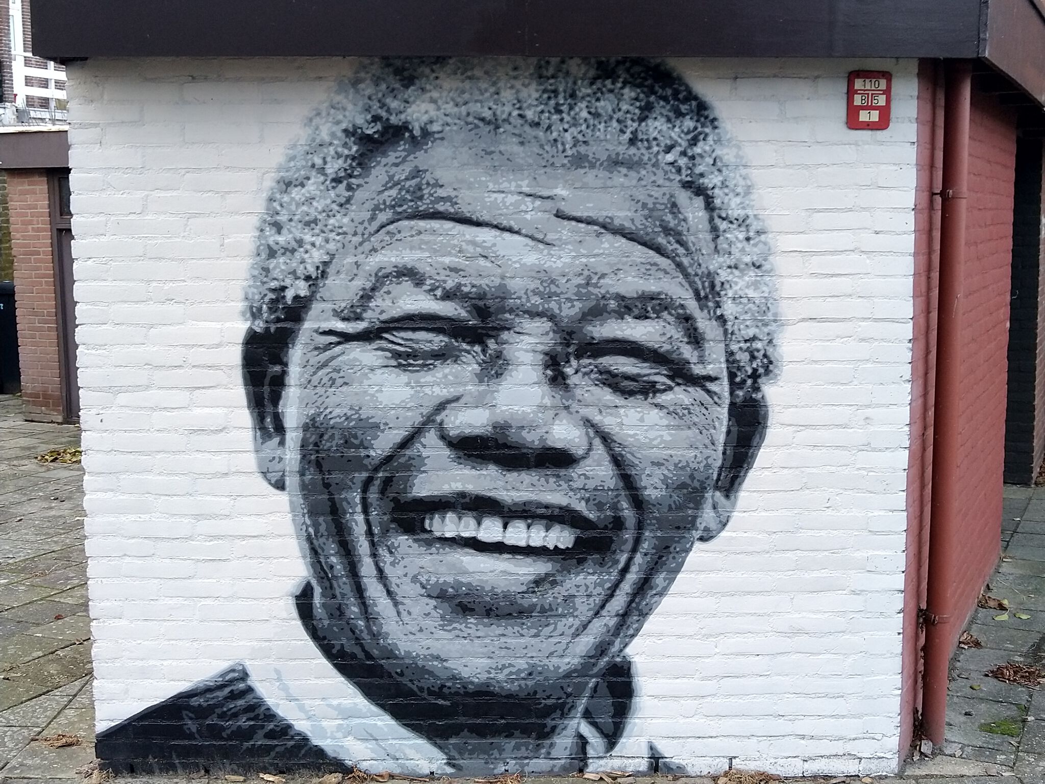 Roy Schreuder&mdash;Nelson Mandela