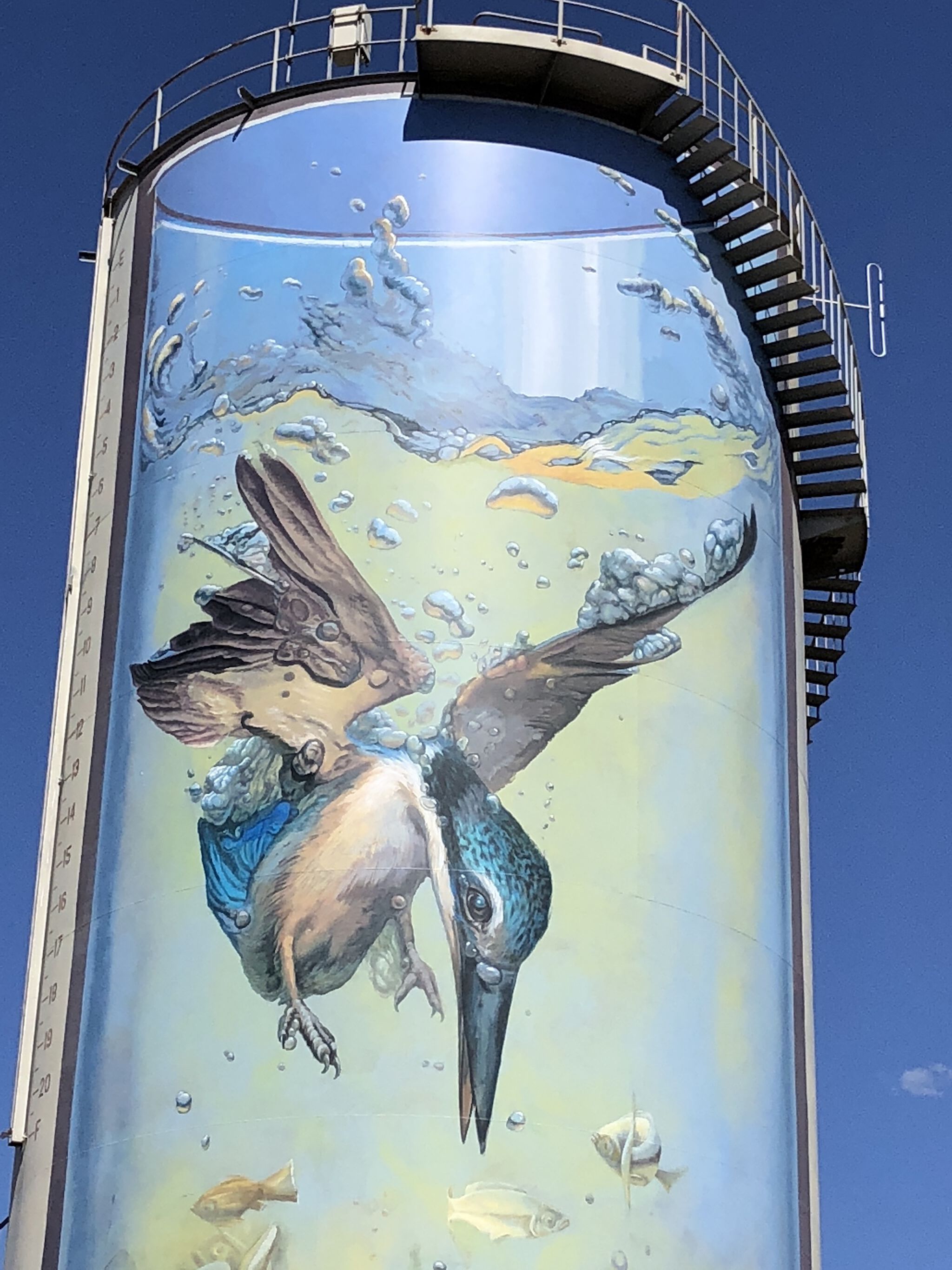 Australian Silo Art Trail, Jenny McCracken&mdash;Gulargambone Water Tower Art