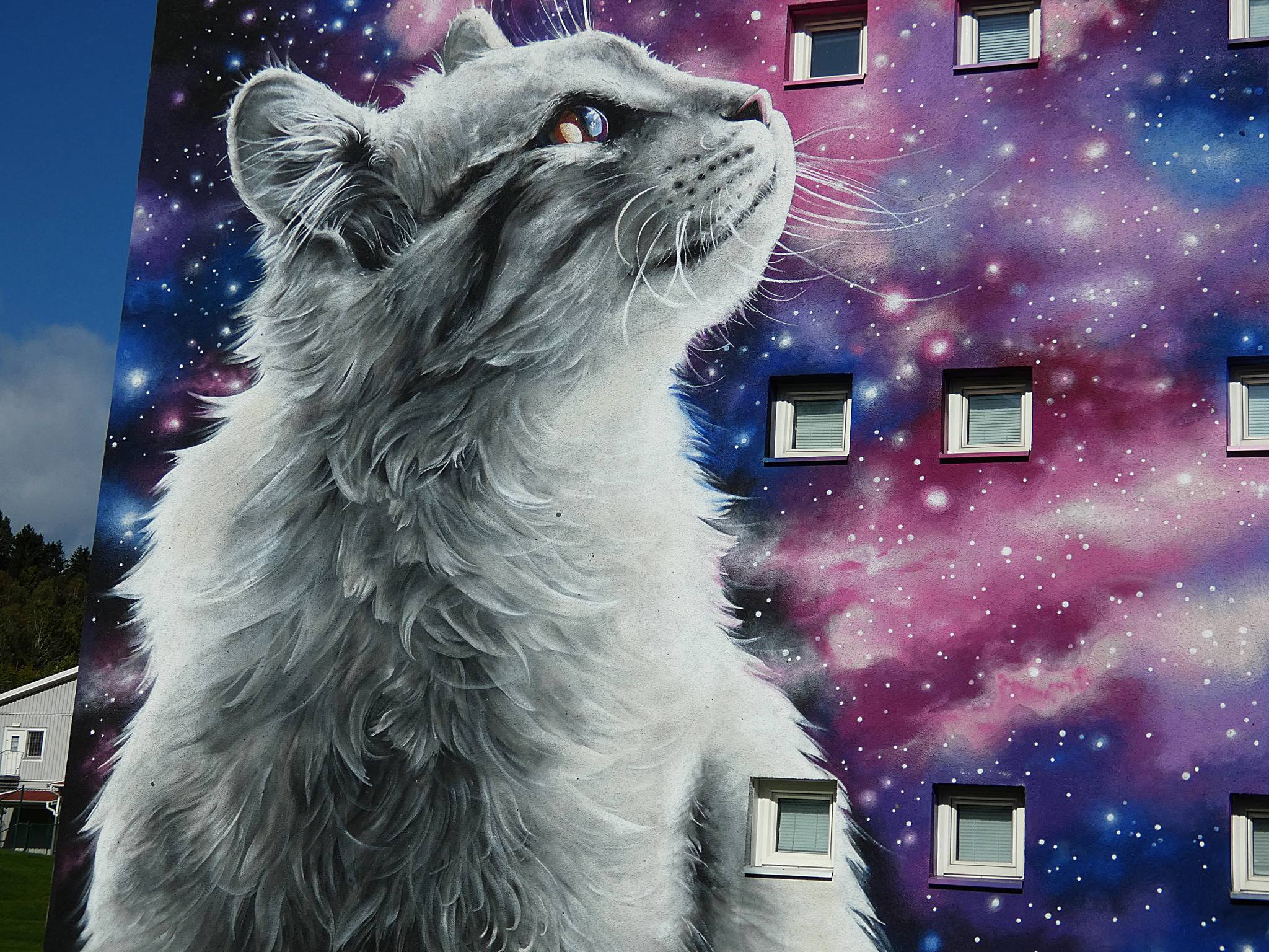 Sagie&mdash;Space cat 