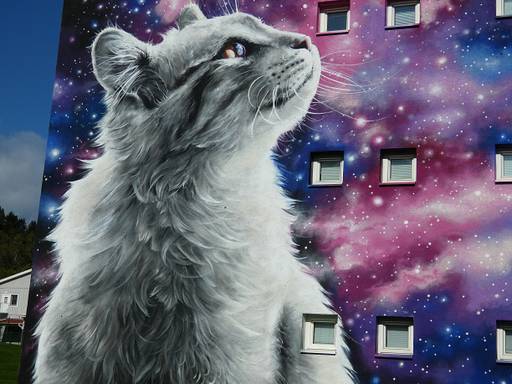 Space cat 