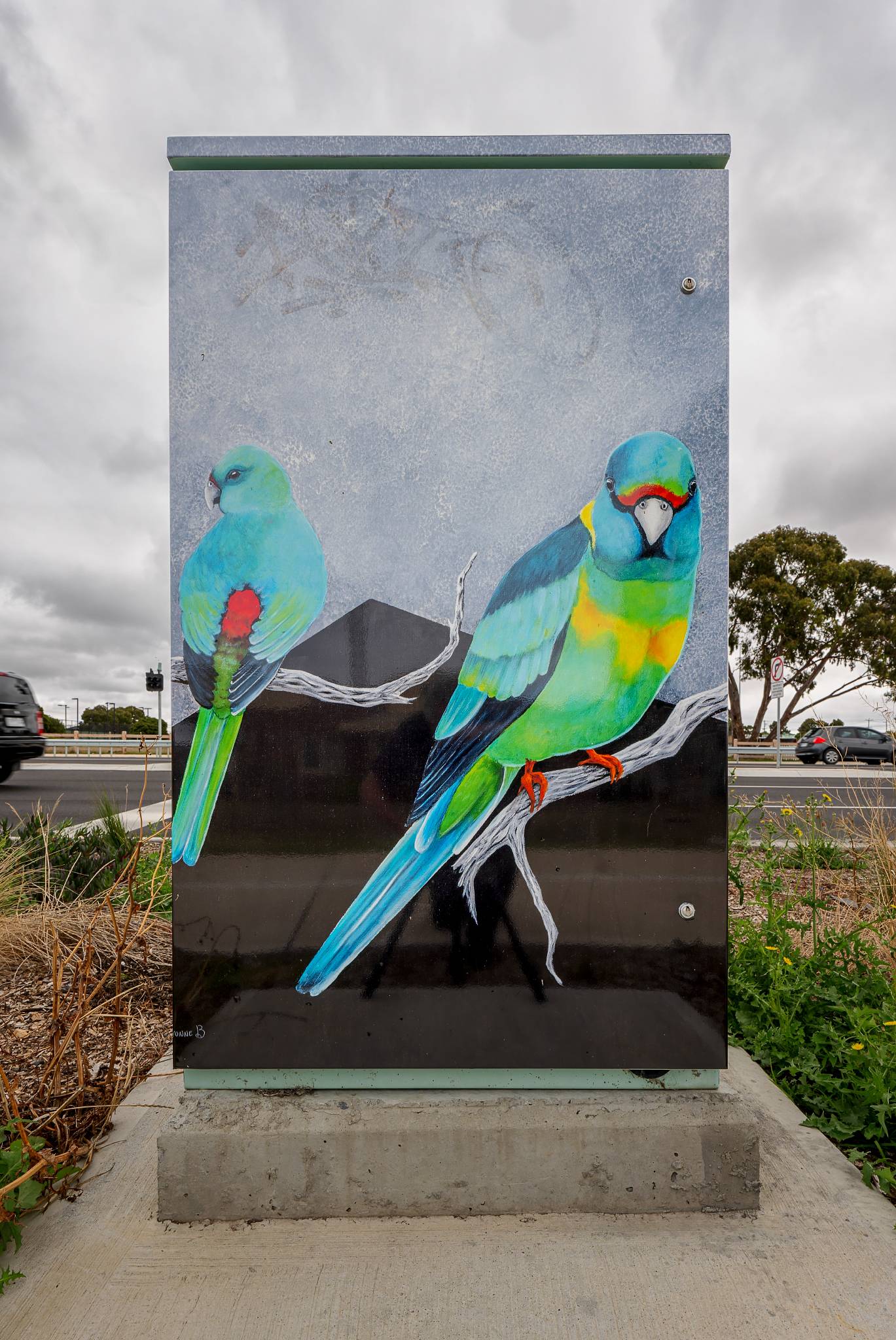 Yvonne Bradford&mdash;Red-rumped Parrots