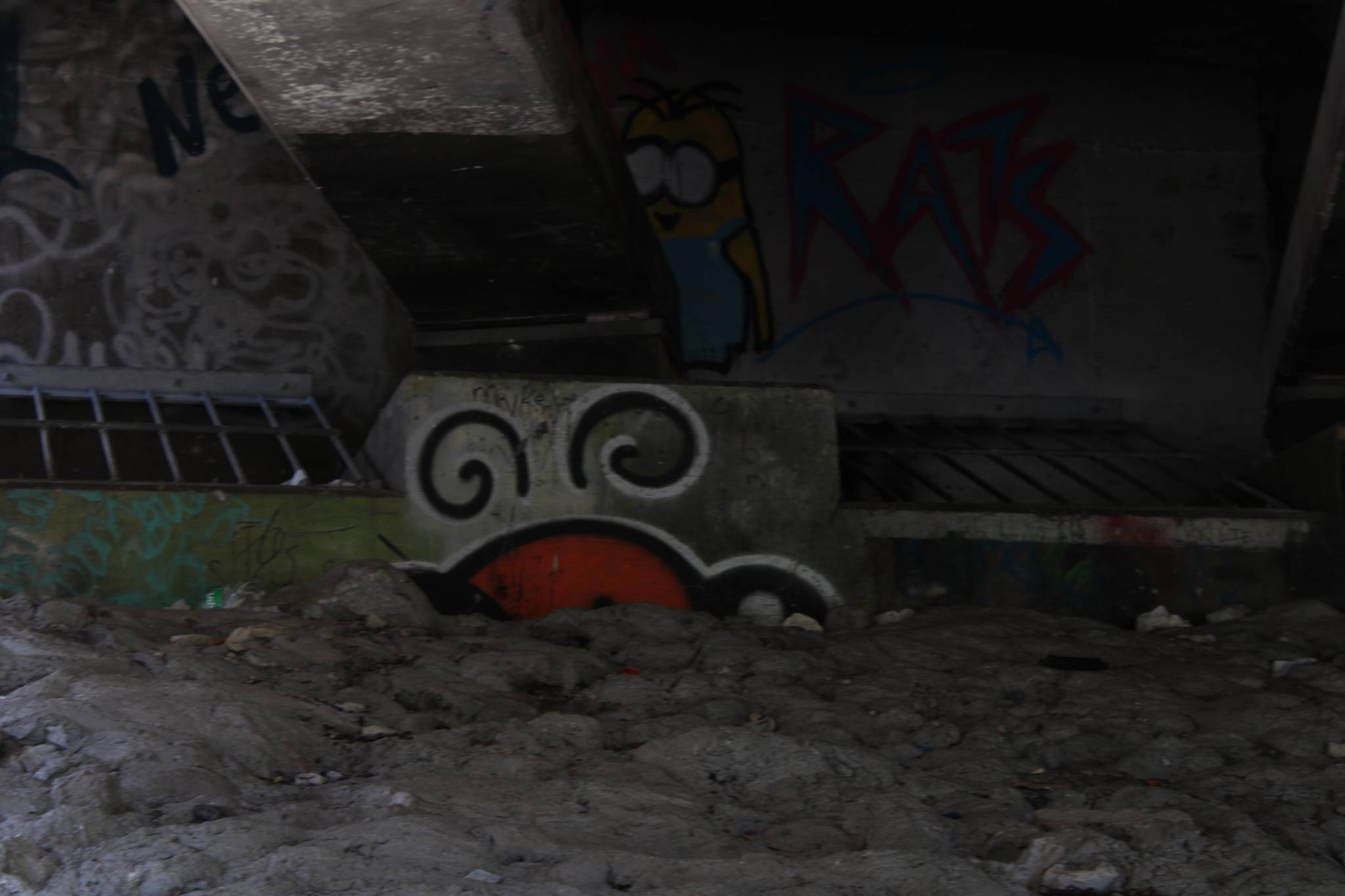 Zern, Dill, Antboy&mdash;Graffiti under MLK Jr. Parkway bridge over Racoon river 