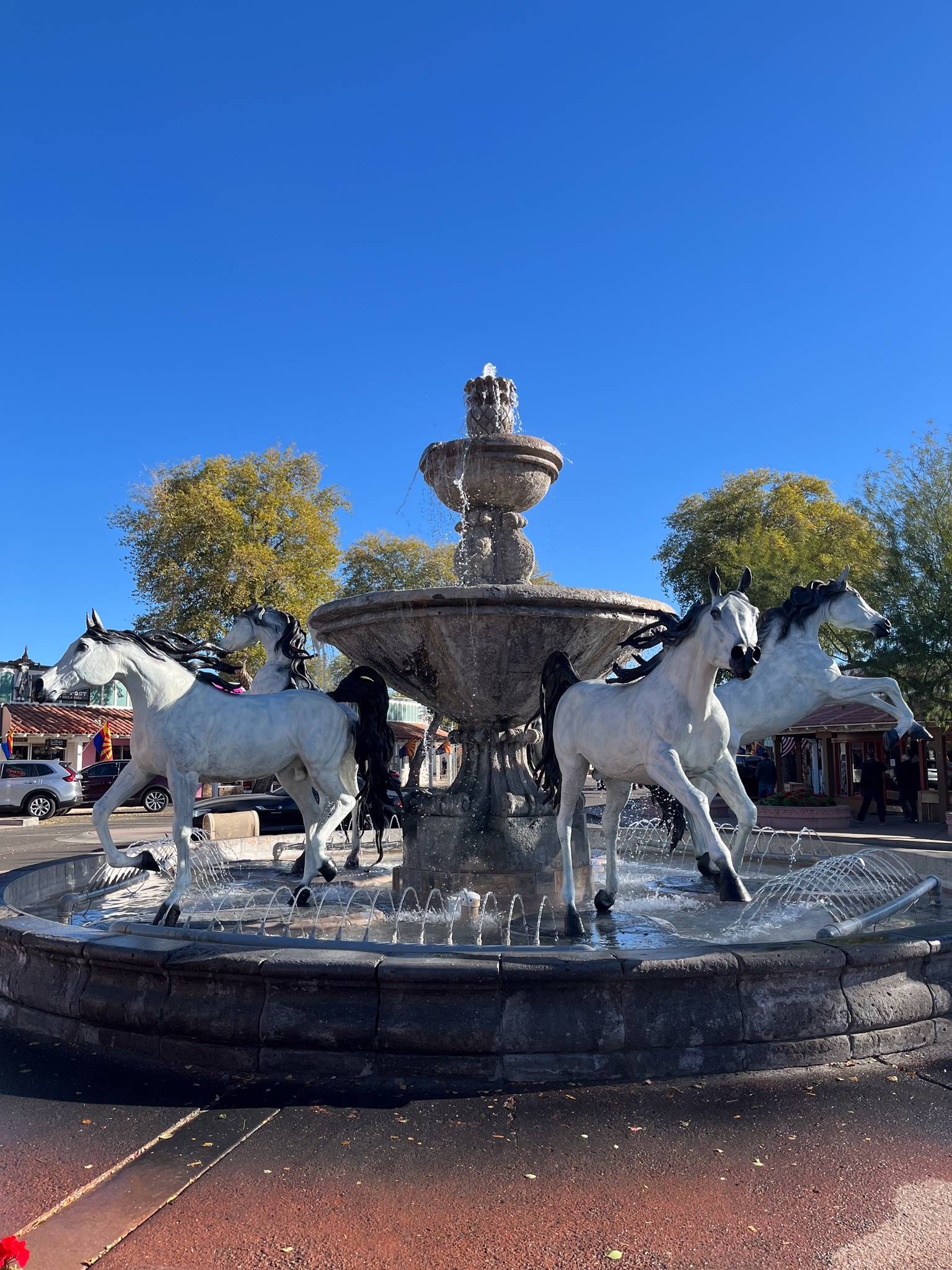 Bob Parks&mdash;Bronze Horse Fountain