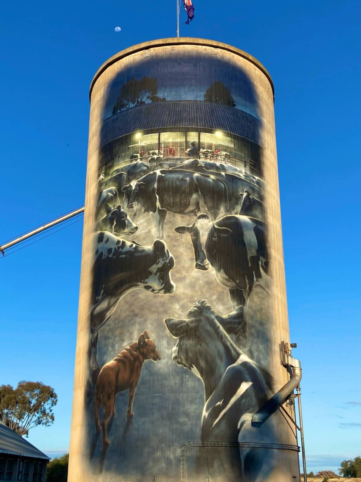 Tim Bowtell—Waaia Silo Art - Silo 1