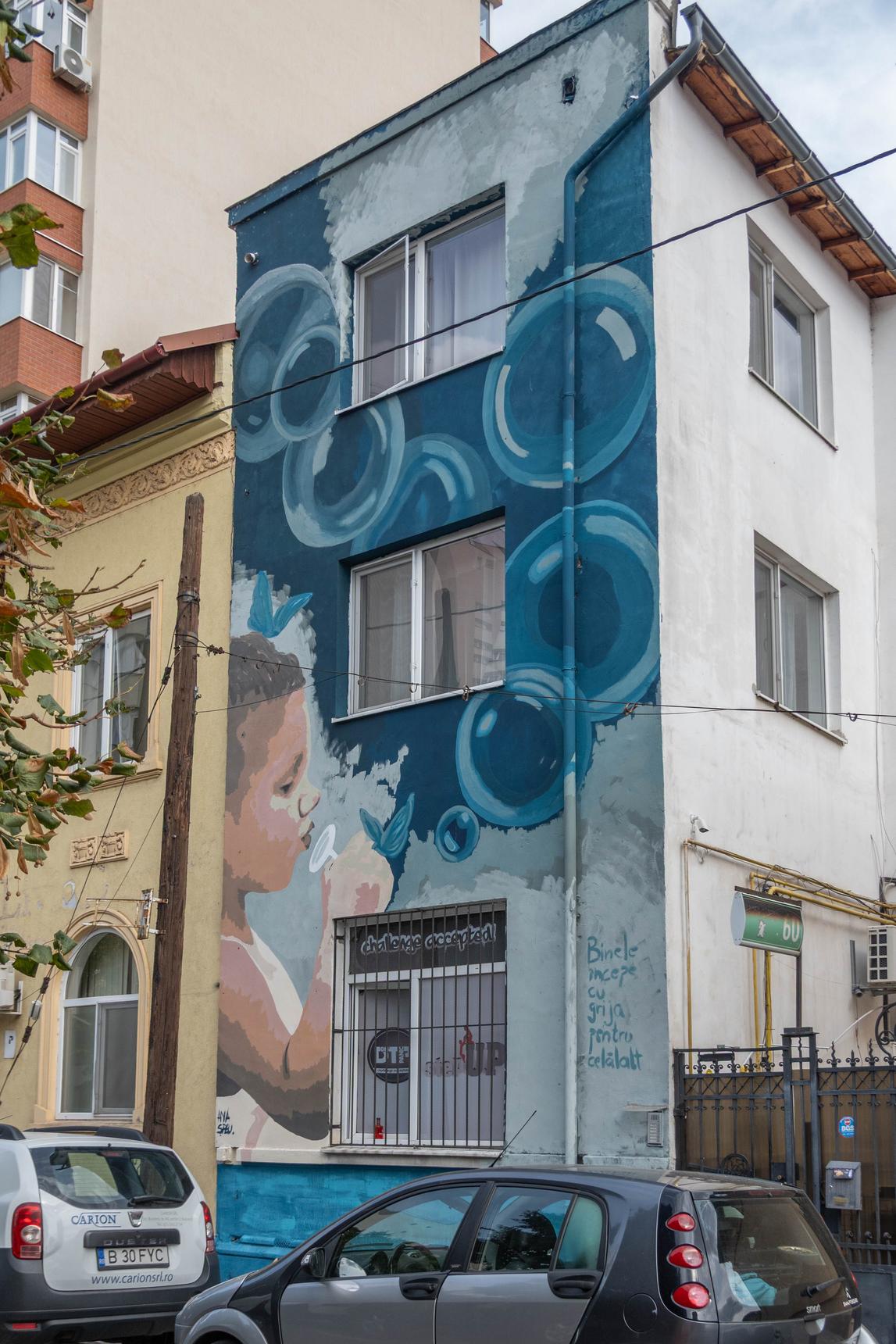 Strada Platform Home? by Ana Șpeu - Street Art Cities