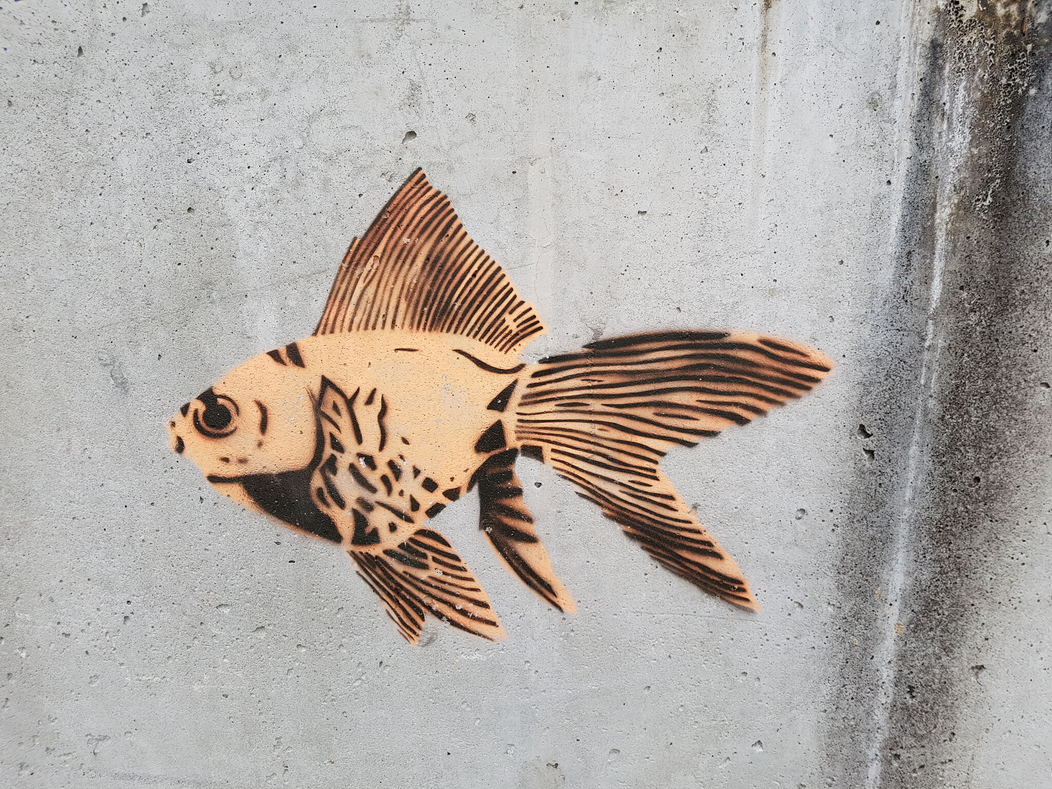 Unknown - Bergen (Norway)&mdash;Goldfish