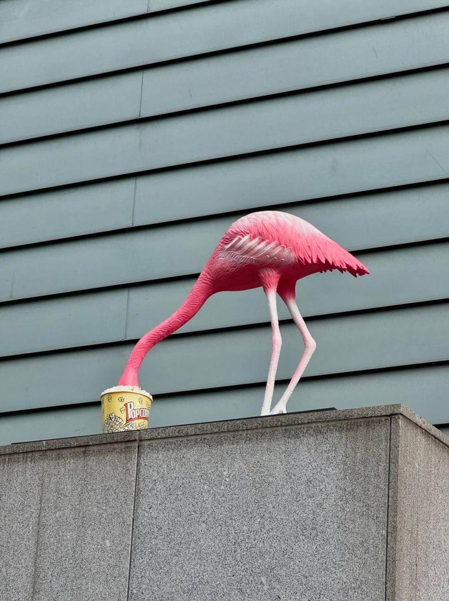 &mdash;Flamincorn