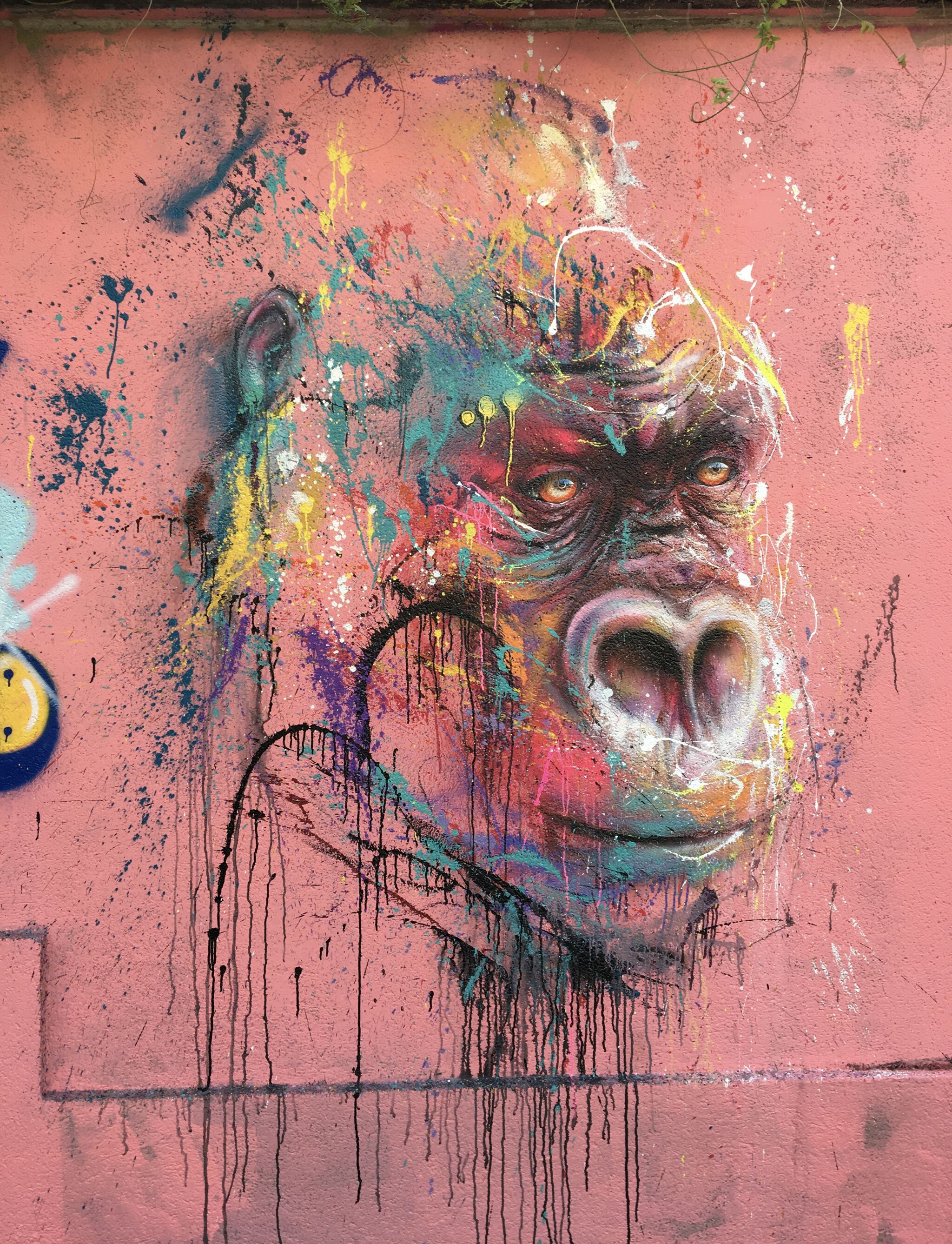 Sax&mdash;Urban gorilla