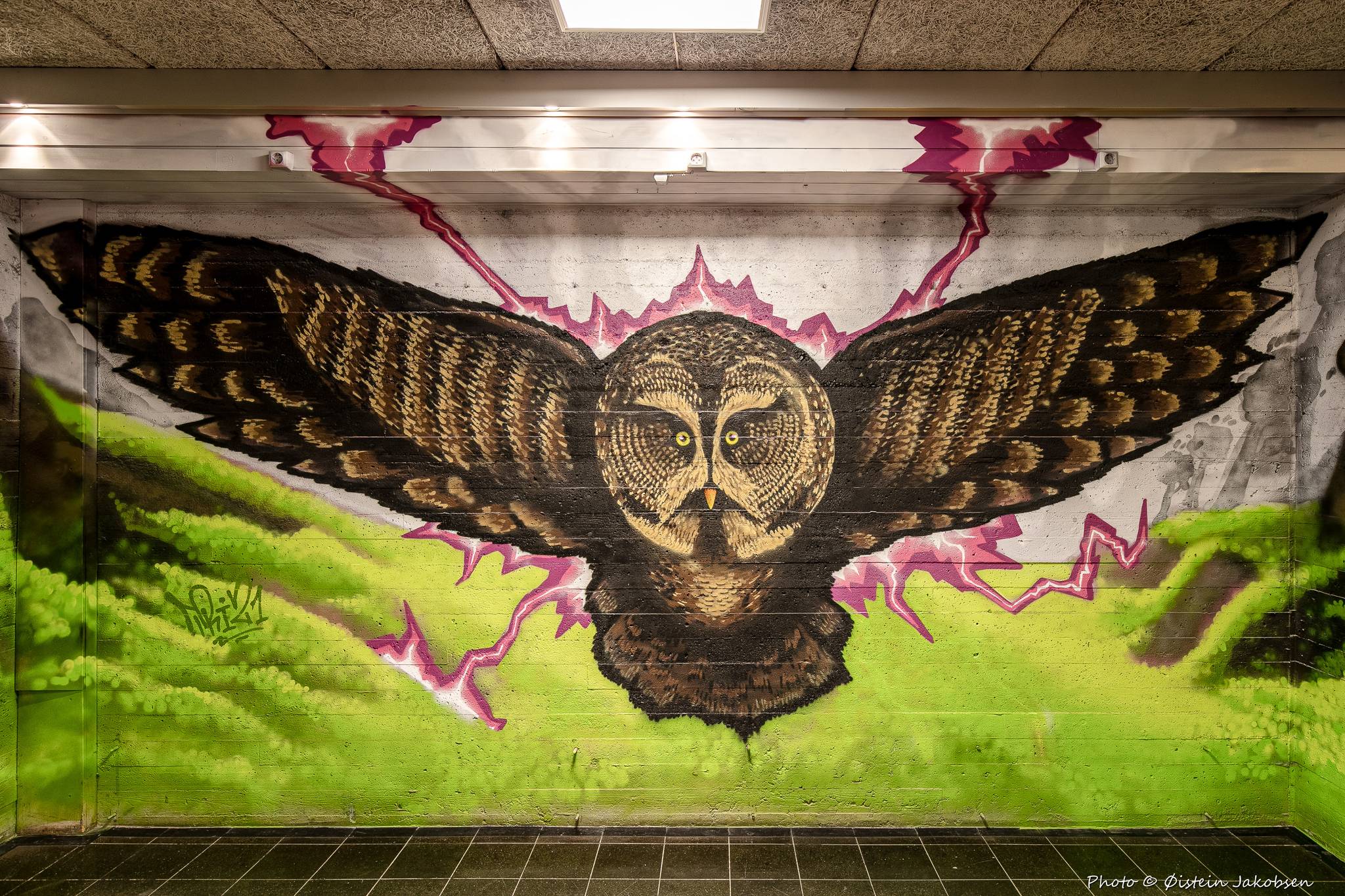 TRI&mdash;The Owl at Slåtthaug