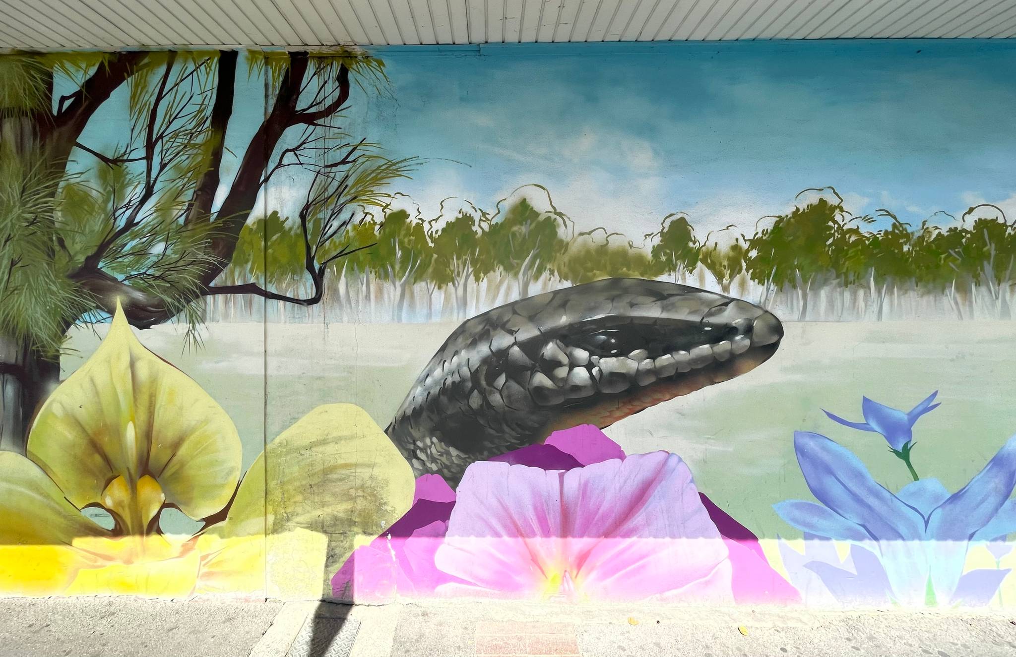 Sebastian Franz&mdash;KFL Mural