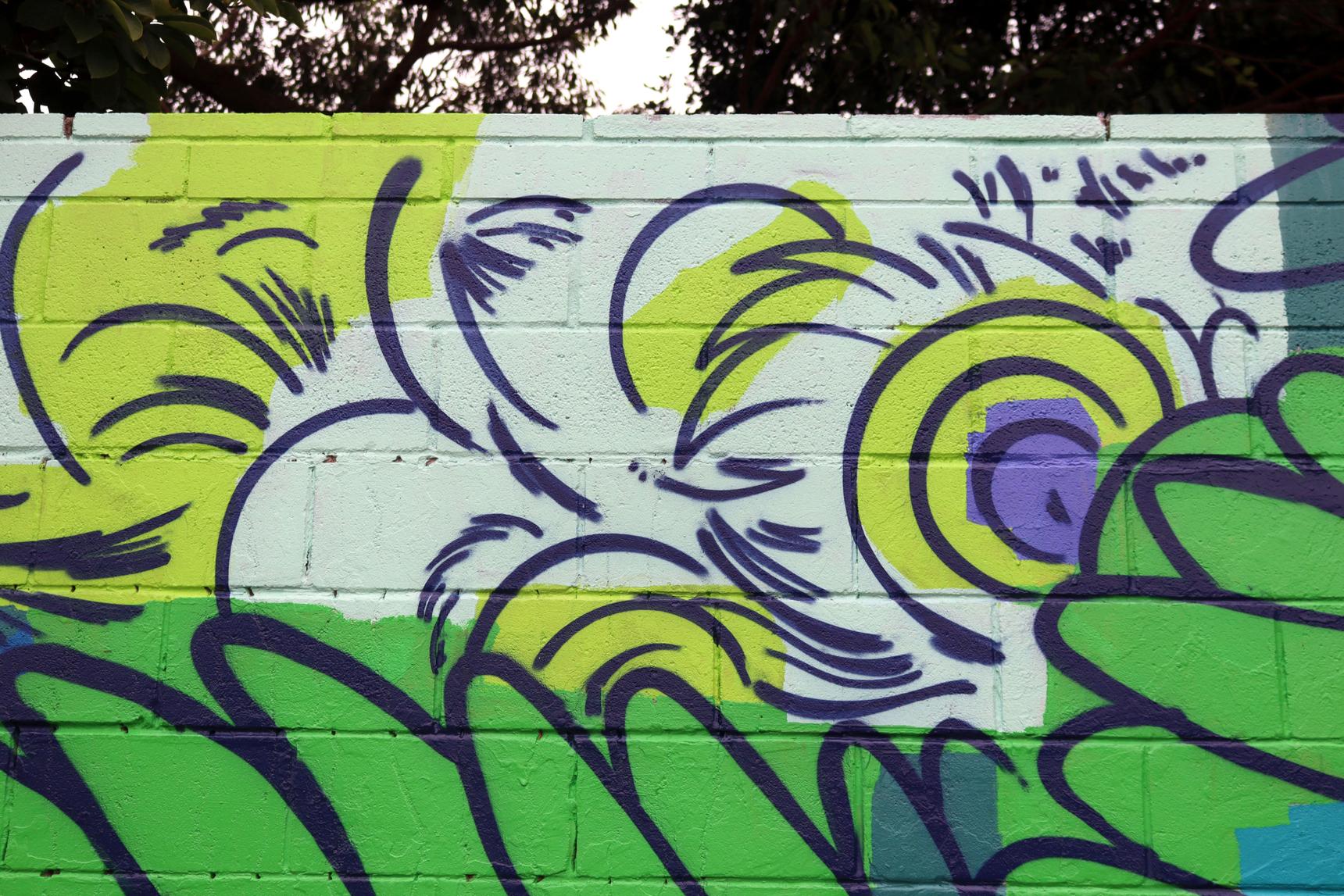 JESWRI—Fly, Peacock, Fly