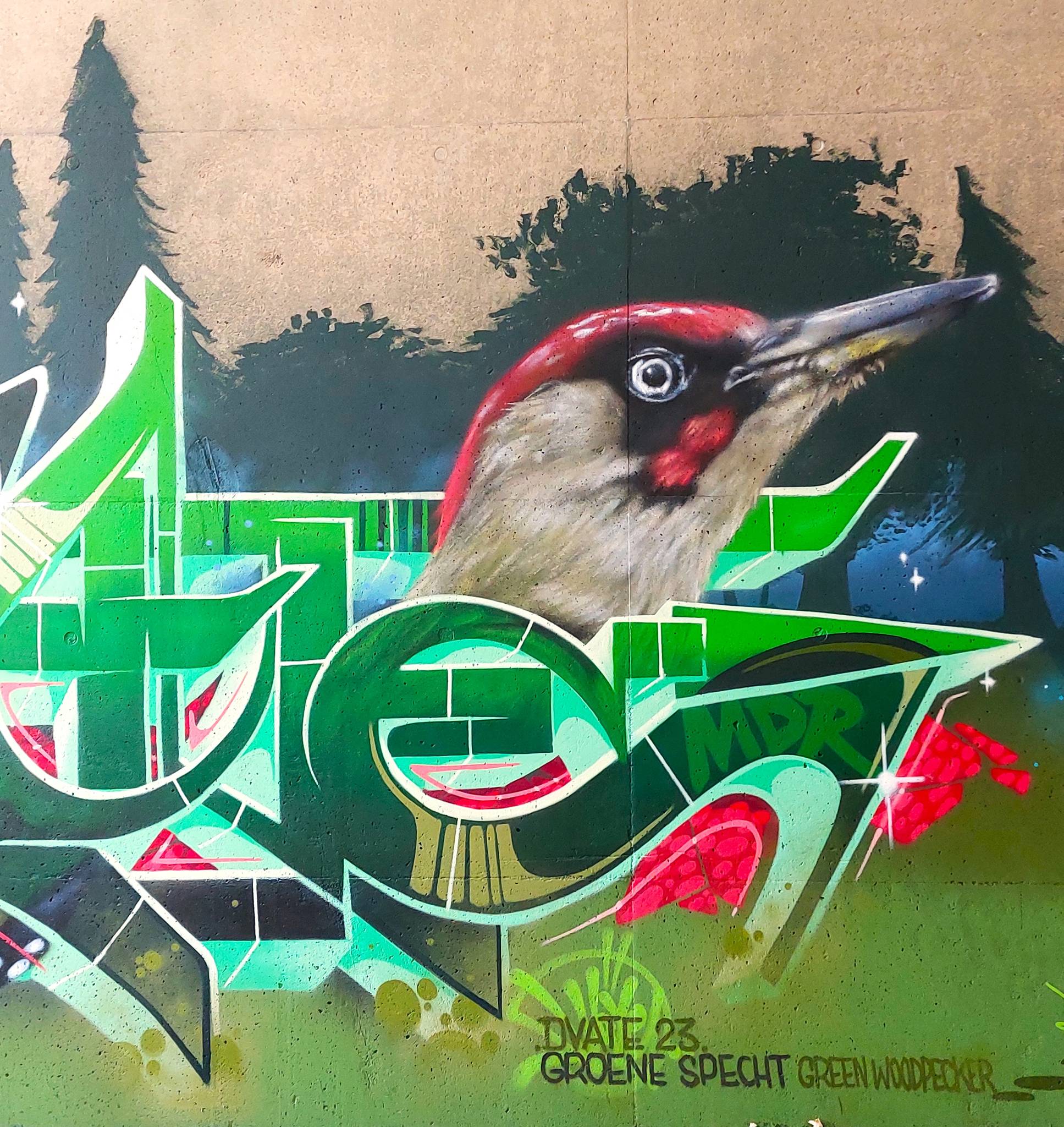 Dvate&mdash;Green Woodpecker