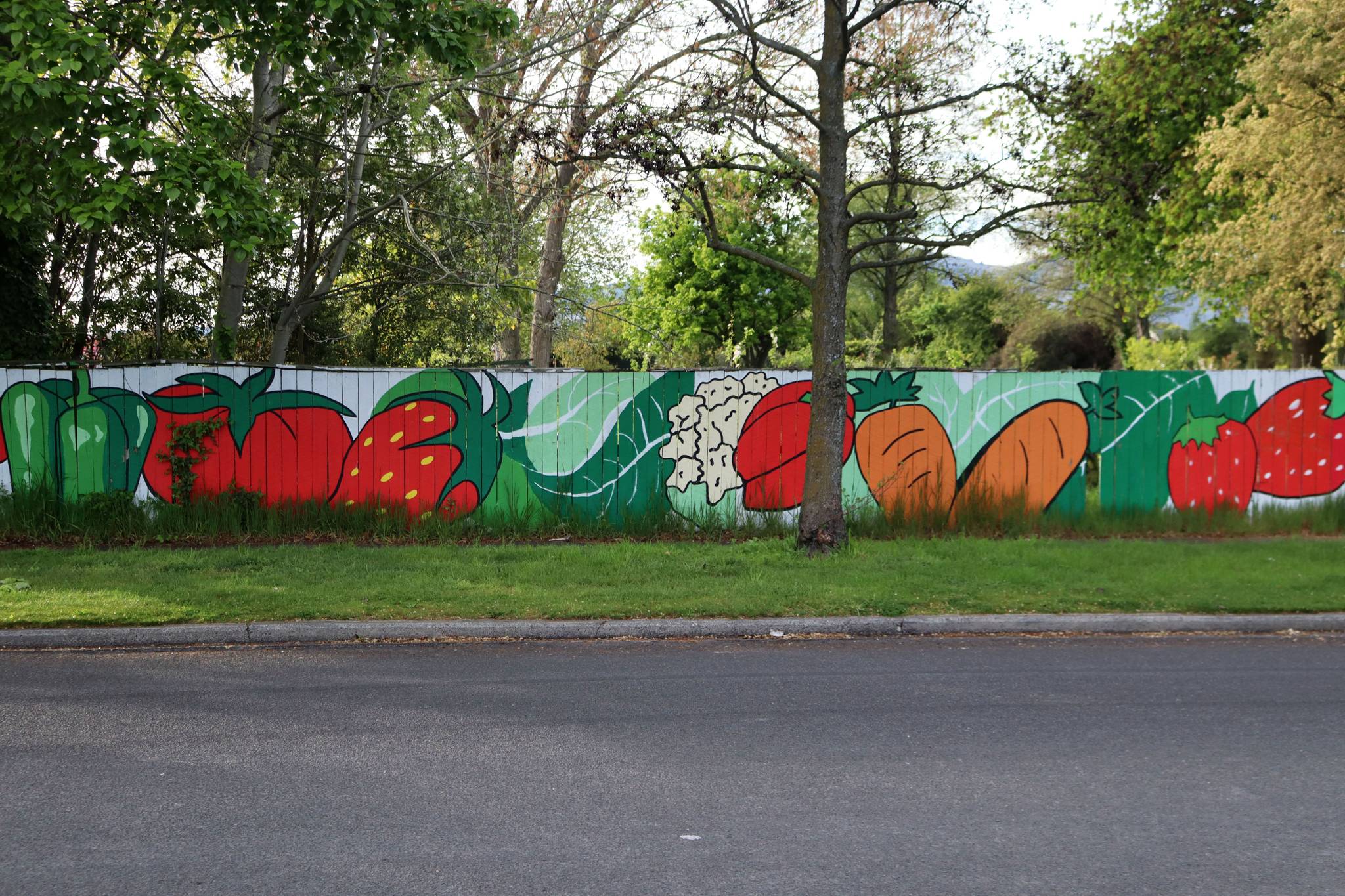 GirlGuiding New Zealand&mdash;Community Garden