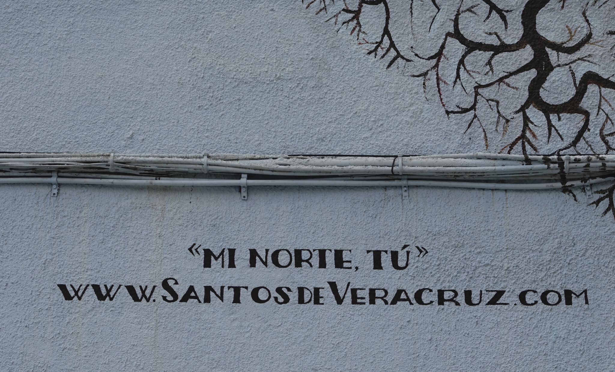 Santos de Veracruz&mdash;My North You ---------- Mi Norte Tu