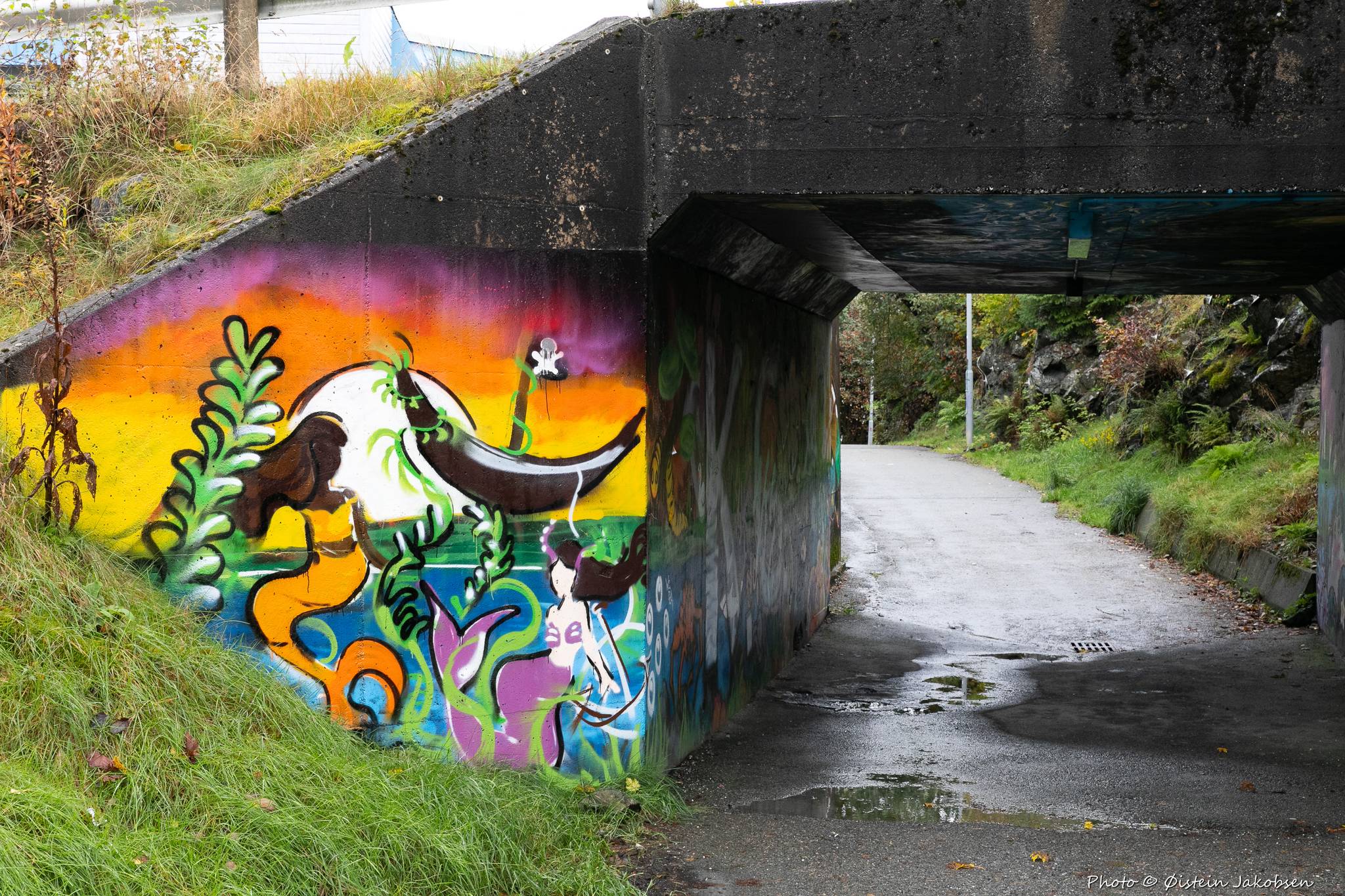 Unknown - Bergen (Norway)&mdash;The Under Walk in Olsvik