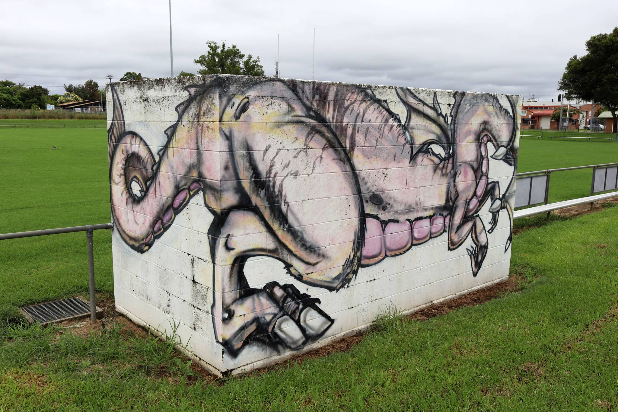 Unknown - Kempsey&mdash;Kempsey Dragon