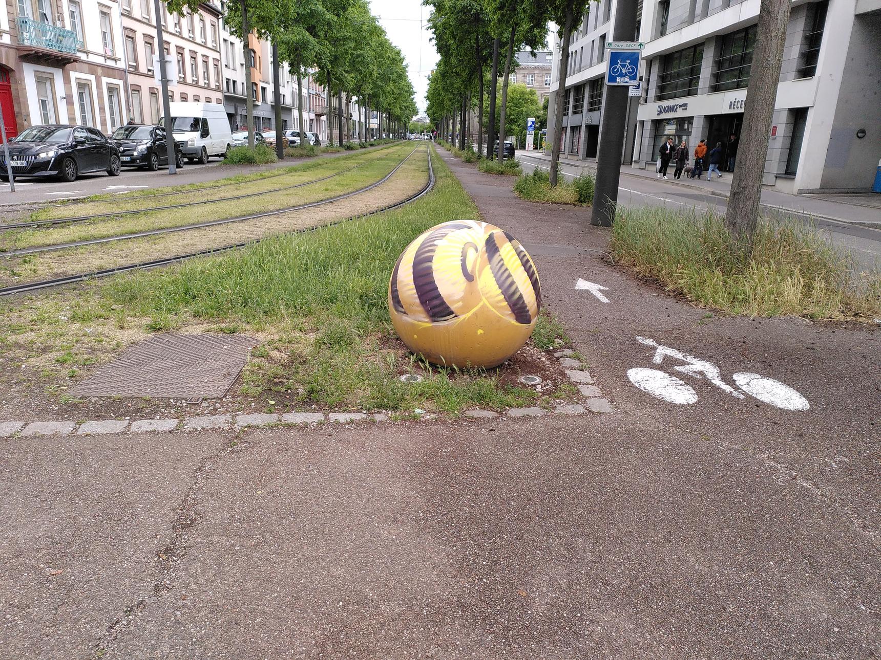 Stom500—Bee Spheres