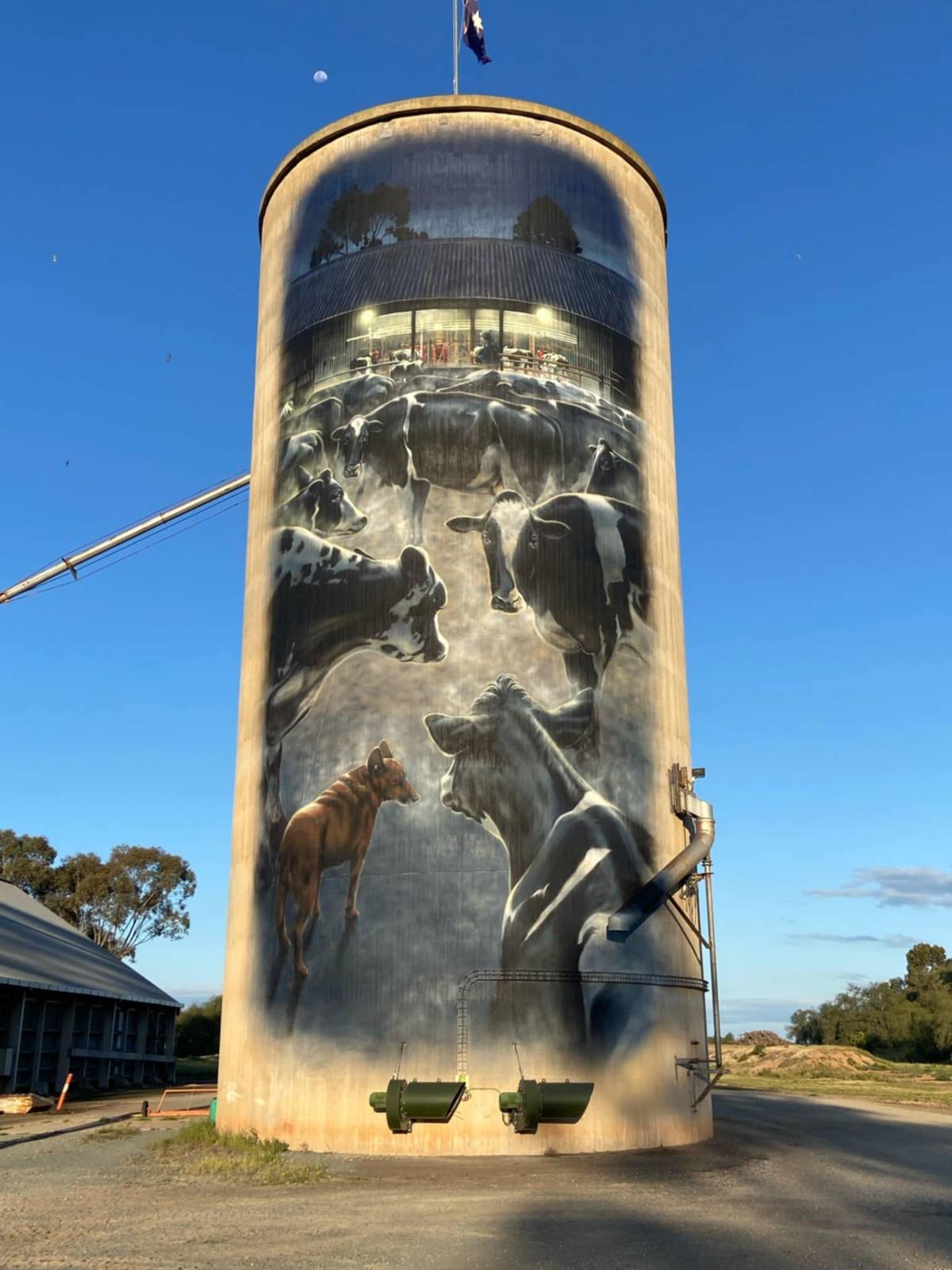 Tim Bowtell—Waaia Silo Art - Silo 1